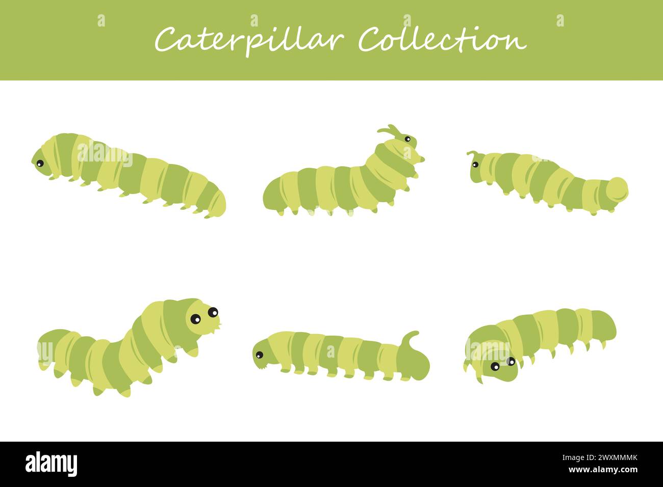 Raccolta Caterpillar. Carino cartone animato caterpillar. Illustrazione vettoriale Illustrazione Vettoriale