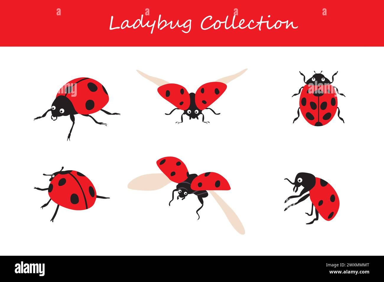 Set di coccinelle. Illustrazione vettoriale isolata su sfondo bianco. Illustrazione Vettoriale