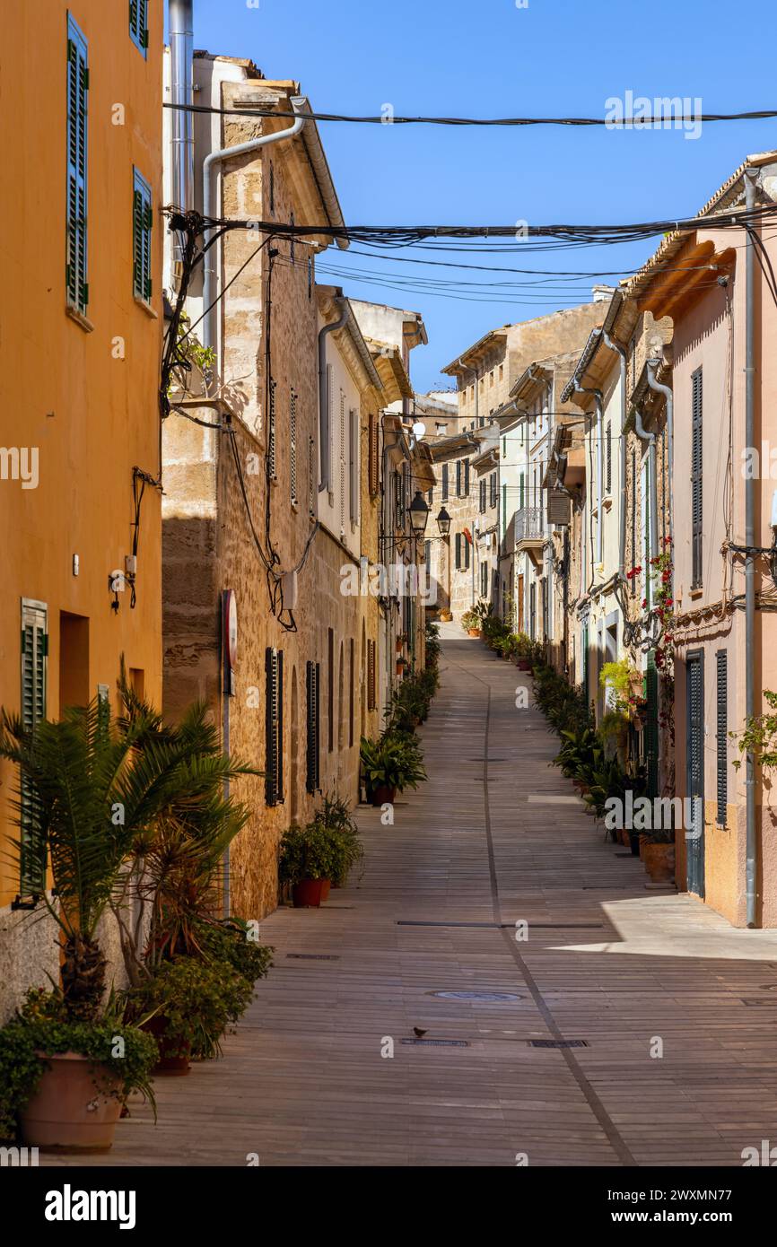 Carrer de la Roca, una strada stretta costeggiata da vasi di piante, nella città vecchia di Alcudia, Maiorca, Spagna, Isole Baleari Foto Stock