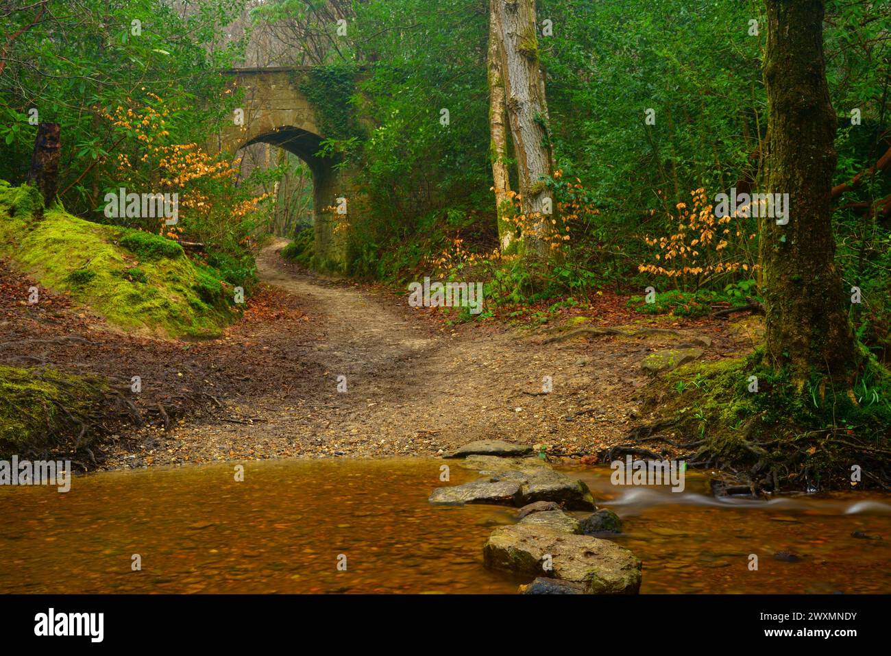 L'arco di Vachery sulla foresta di Ashdown. Foto Stock