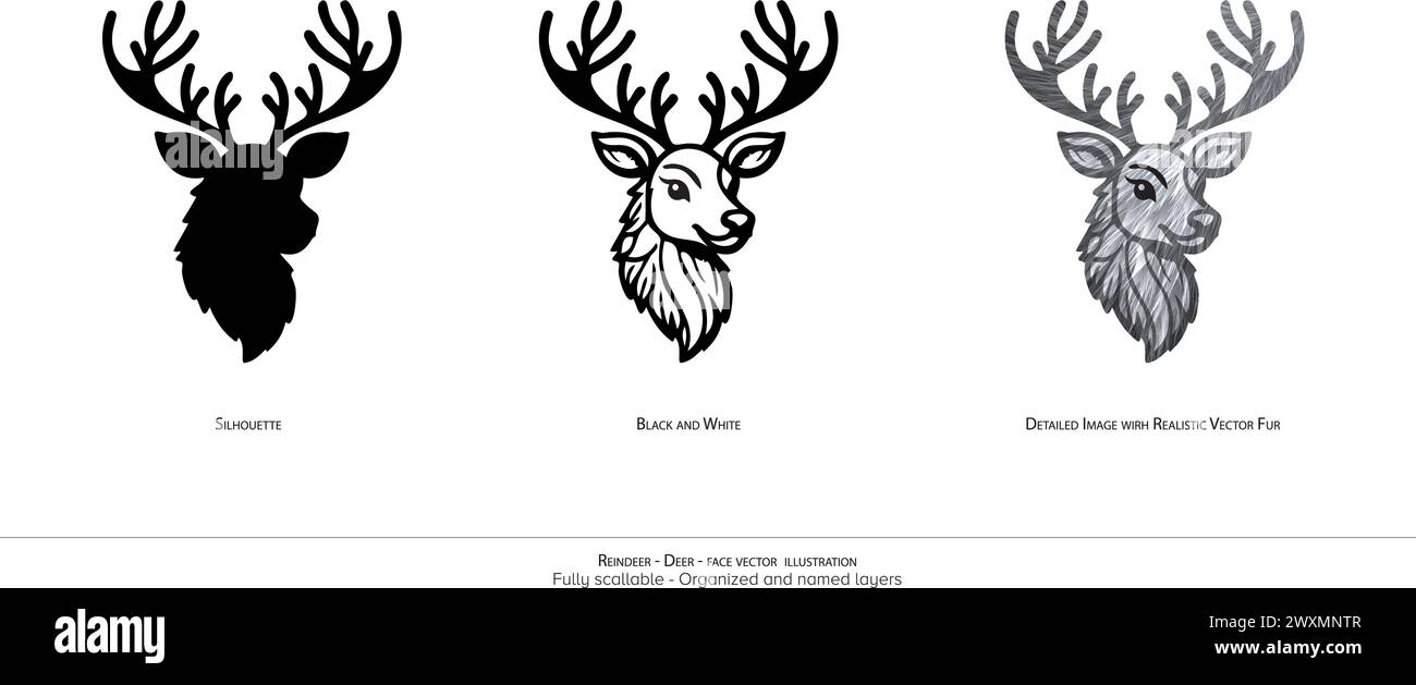 Renna - illustrazione vettoriale della faccia del cervo. Sfondo bianco. La faccia di un animale carino. Illustrazioni delle renne. Livelli organizzati e pronti per l'animazione Illustrazione Vettoriale
