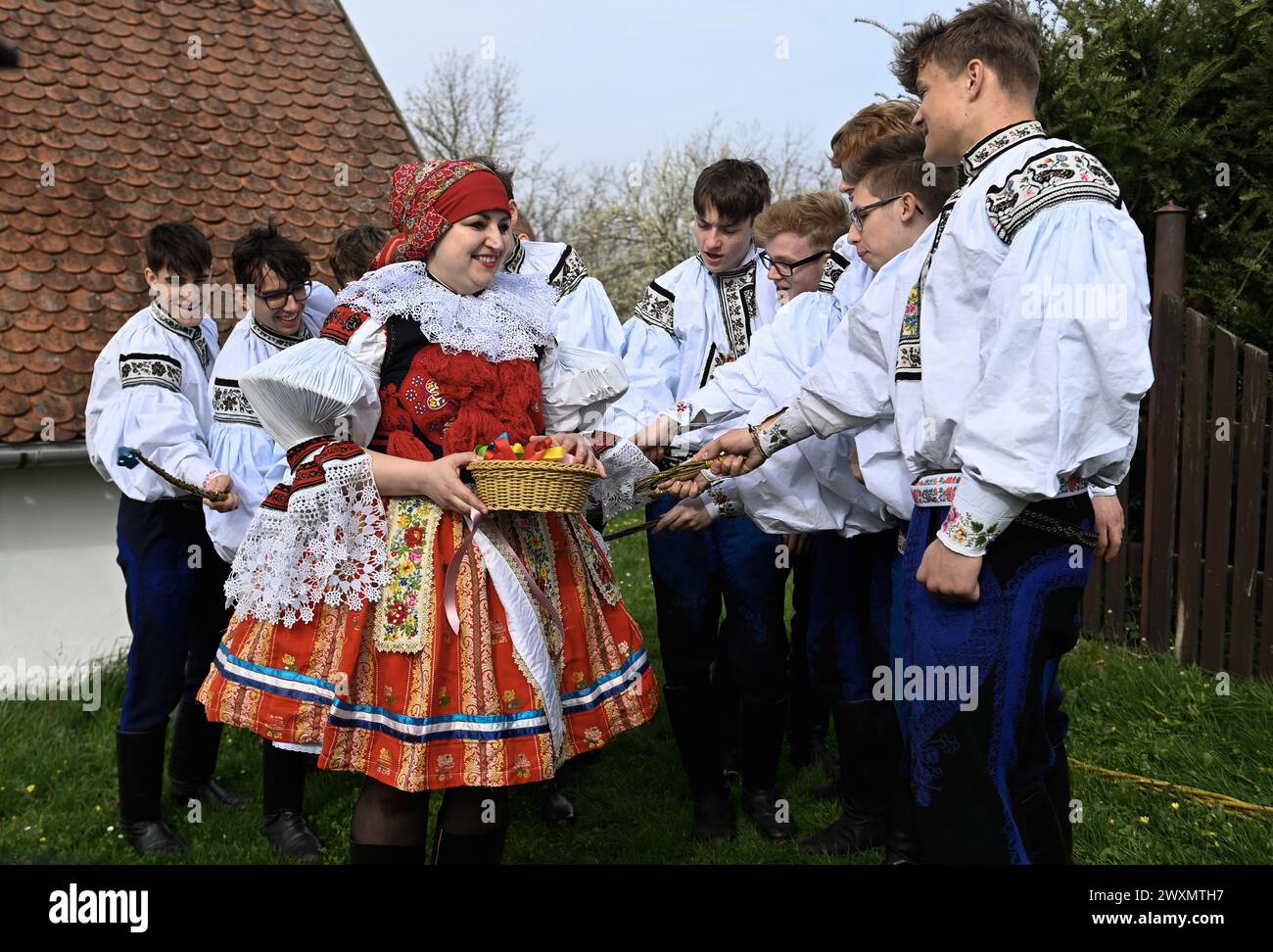 Vlcnov, Repubblica Ceca. 1 aprile 2024. I ragazzi che quest'anno cavalceranno la Ride of the Kings gireranno per il villaggio il lunedì di Pasqua con pomlazka (frusta pasquale ceca) e pagheranno le ragazze a Vlcnov, Repubblica Ceca, 1° aprile 2024. L'antica usanza di montare ragazze e donne con steli di salice intrecciato e spruzzarle con acqua fredda dovrebbe assicurare il genere femminile con una buona salute e un aspetto fresco. Le ragazze poi danno uova colorate o dipinte a ragazzi e uomini come segno del loro ringraziamento e perdono. Crediti: Dalibor Gluck/CTK Photo/Alamy Live News Foto Stock