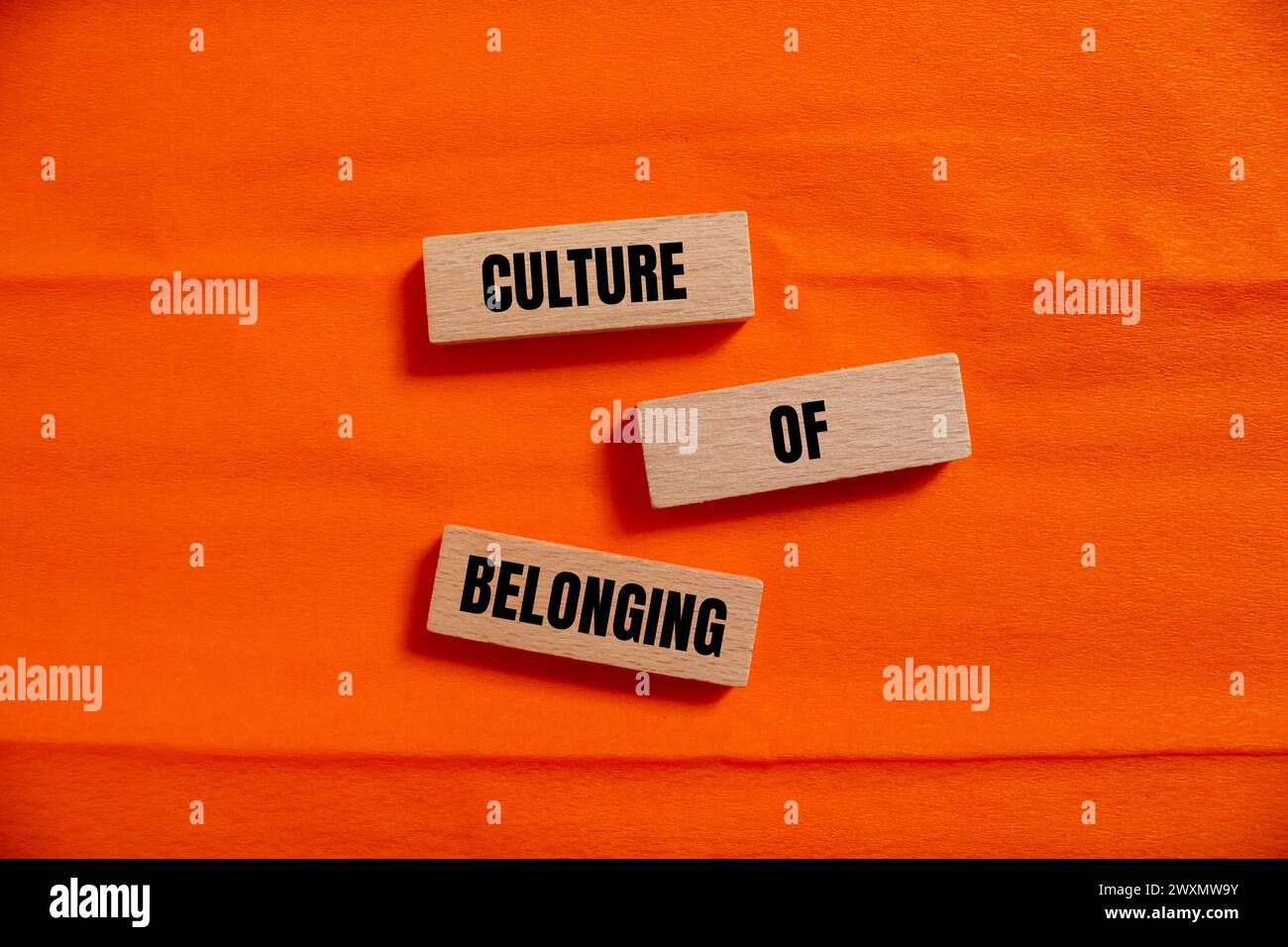 Cultura di appartenenza parole scritte su blocchi di legno con sfondo arancione. Simbolo commerciale concettuale. Copia spazio. Foto Stock