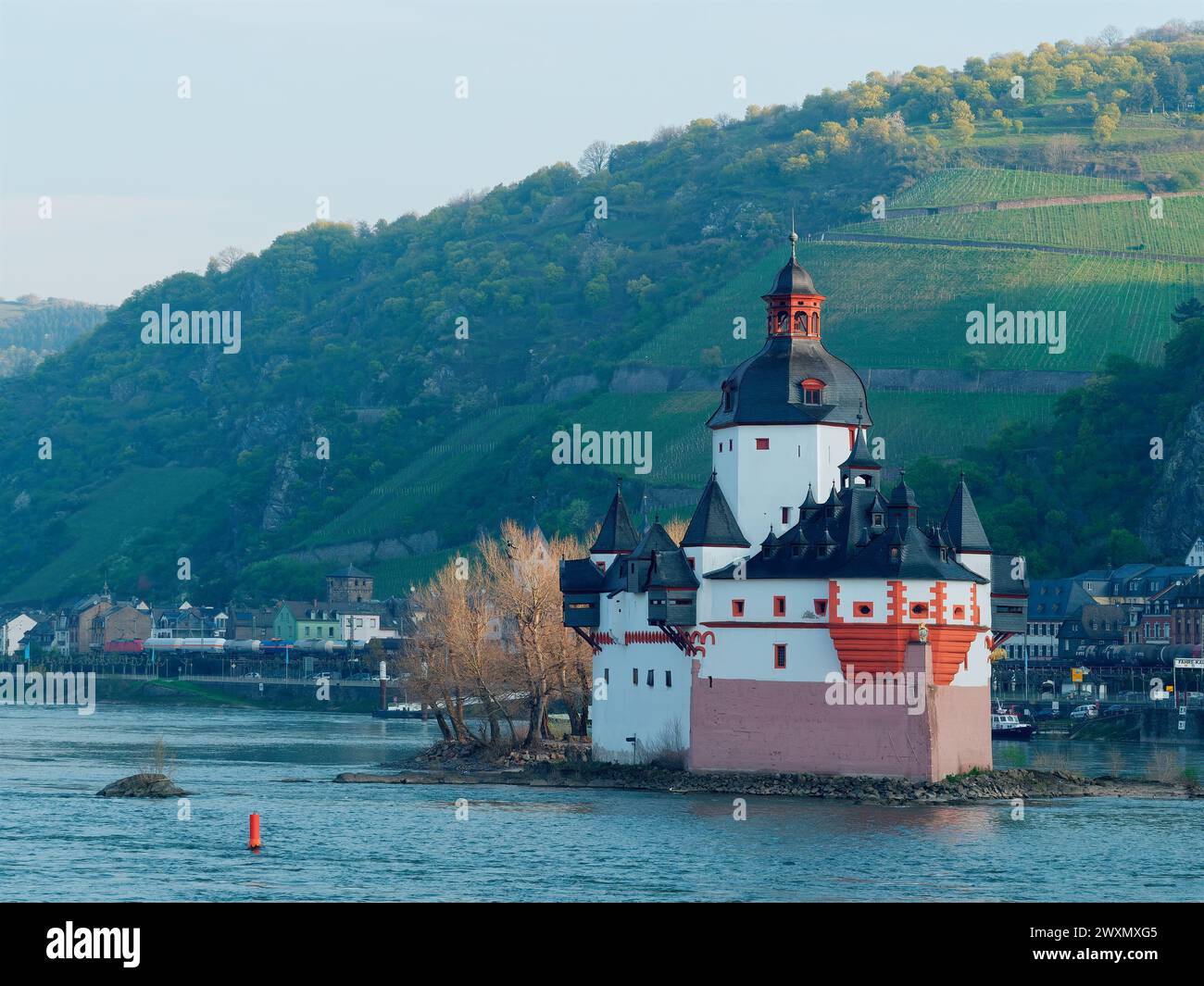 Il castello Pfalzgrafenstein, Germania Foto Stock