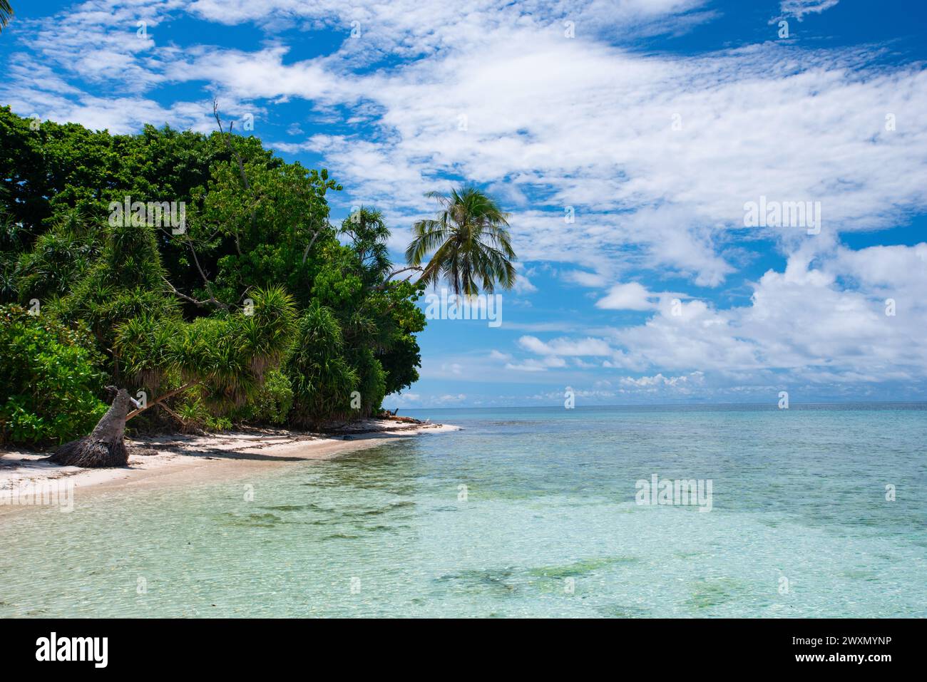 L'isola di Koon nel Maluku. Nella parte orientale dell'Indonesia ci sono diverse bellissime isole in mezzo all'oceano con spiagge di sabbia bianca. Foto Stock