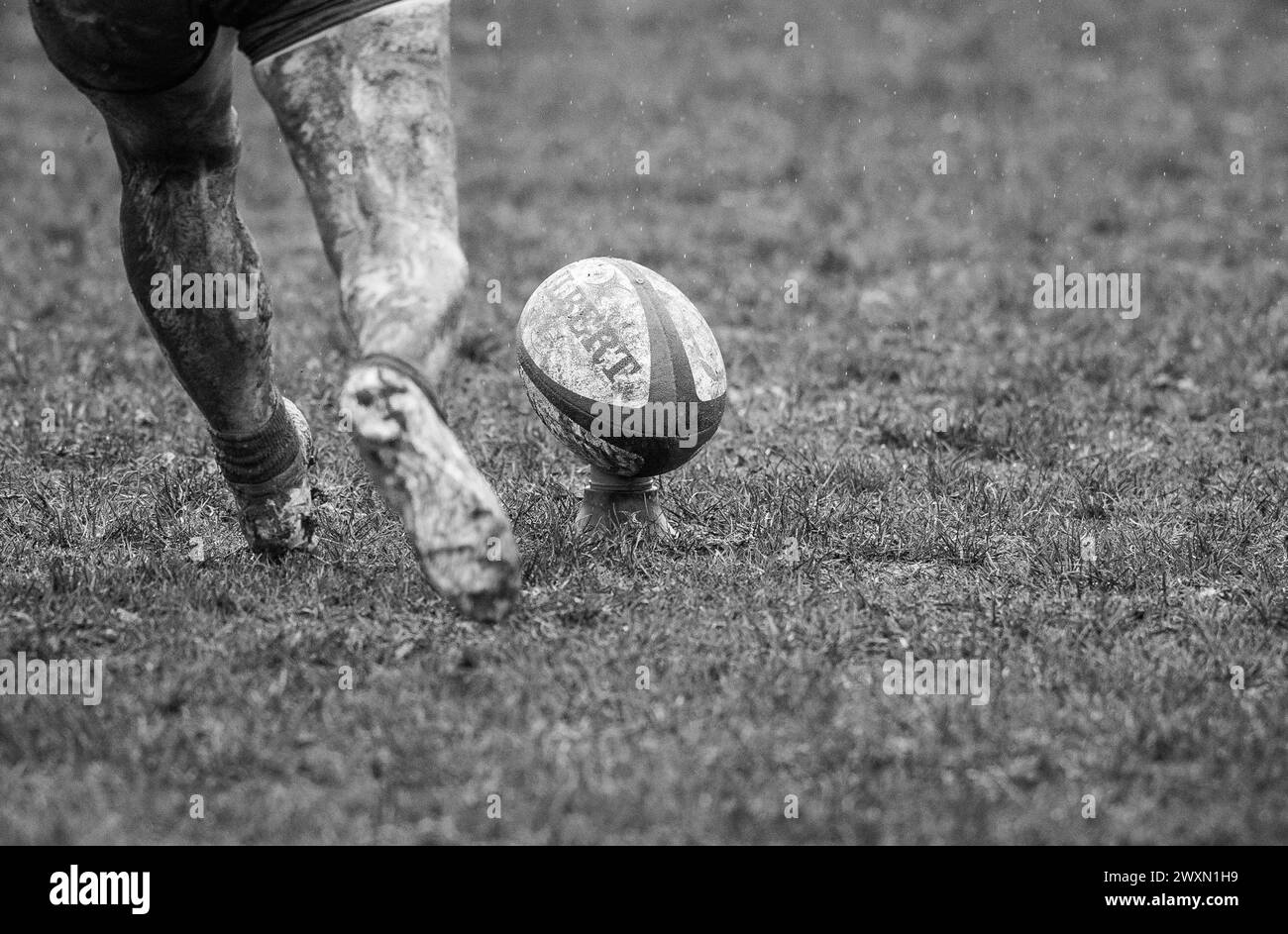 Partita inglese di rugby a 15 femminile amatoriale che gioca in condizioni umide e fangose. Foto Stock