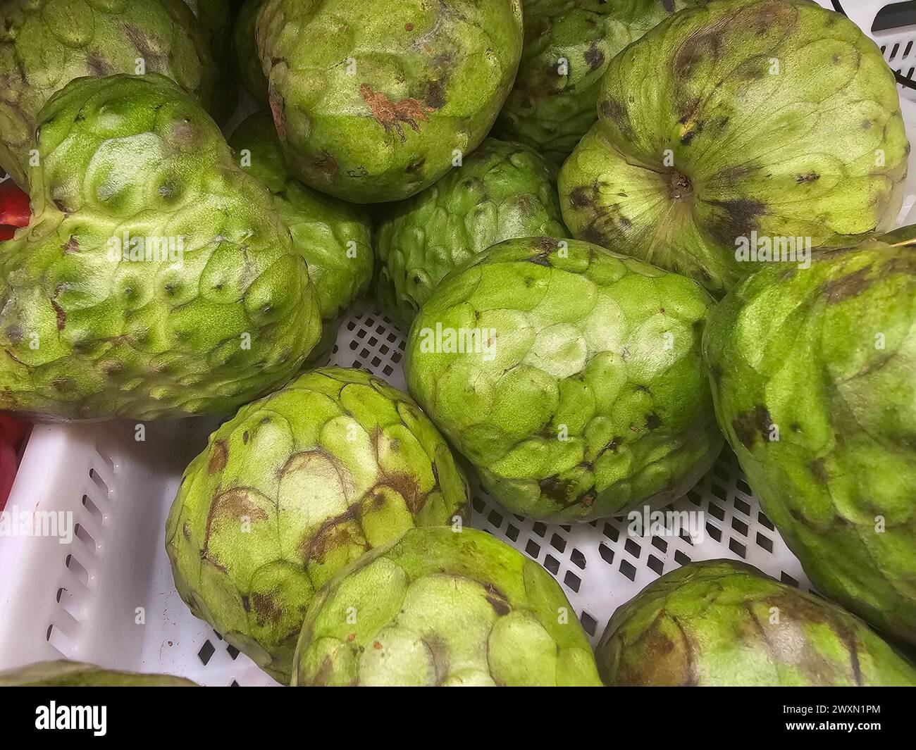 Charimoya (annona cherimola) dall'Amazzonia peruviana è anche conosciuta come Annona Foto Stock