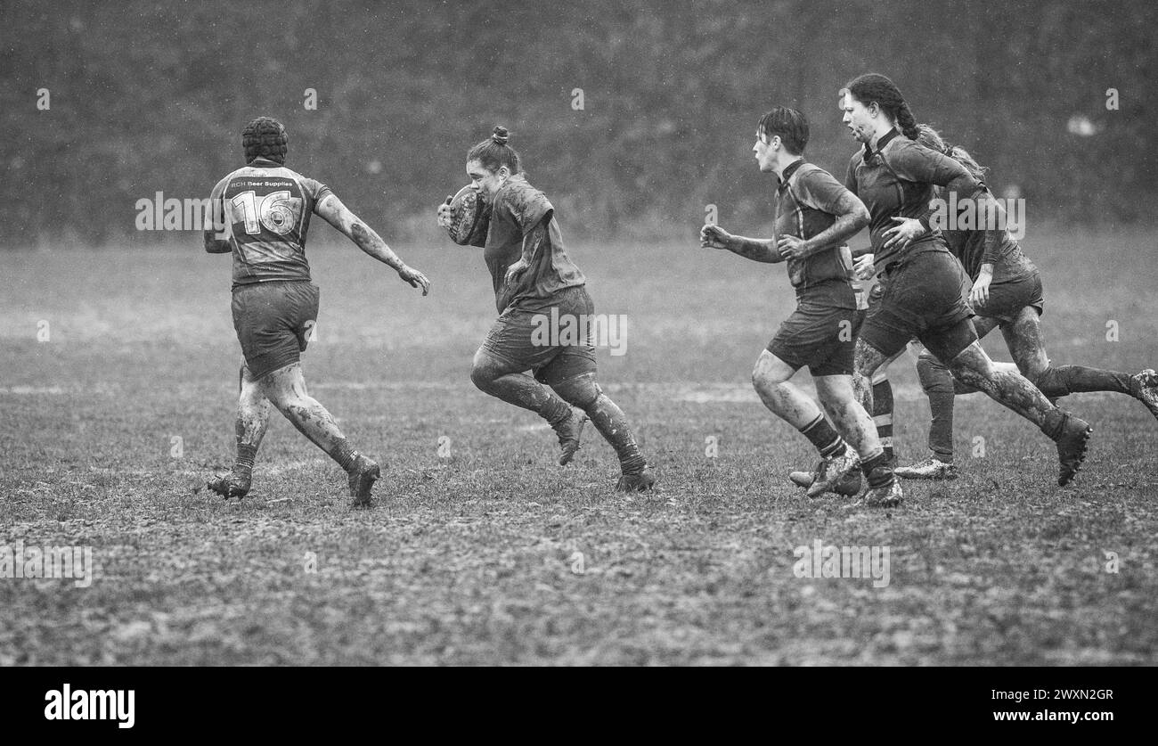 Partita inglese di rugby a 15 femminile amatoriale che gioca in condizioni umide e fangose. Foto Stock