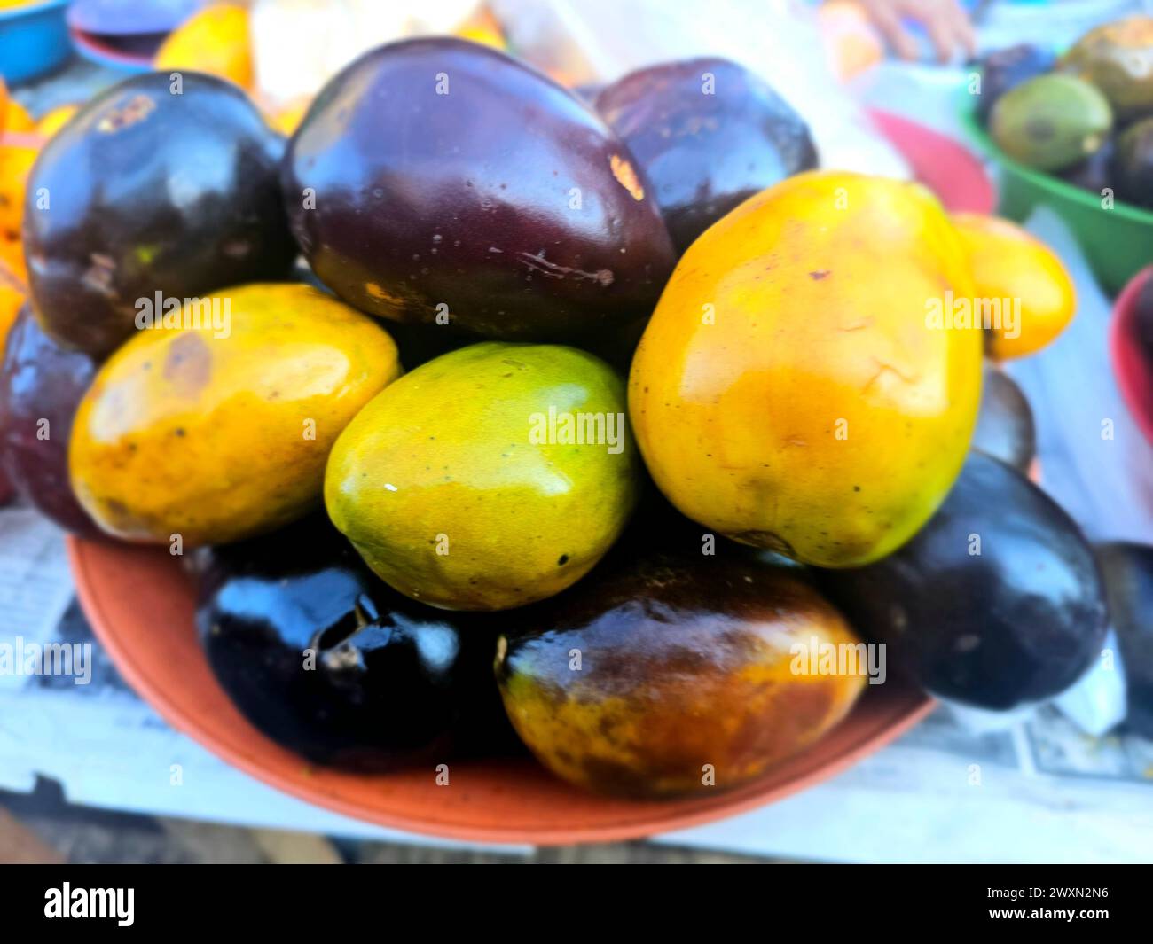 Umari (Poraqueiba sericea) dalla giungla peruviana Foto Stock