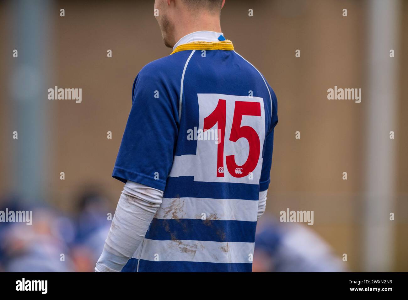 Giocatore inglese amatoriale di rugby Union con maglia numero 15. Foto Stock