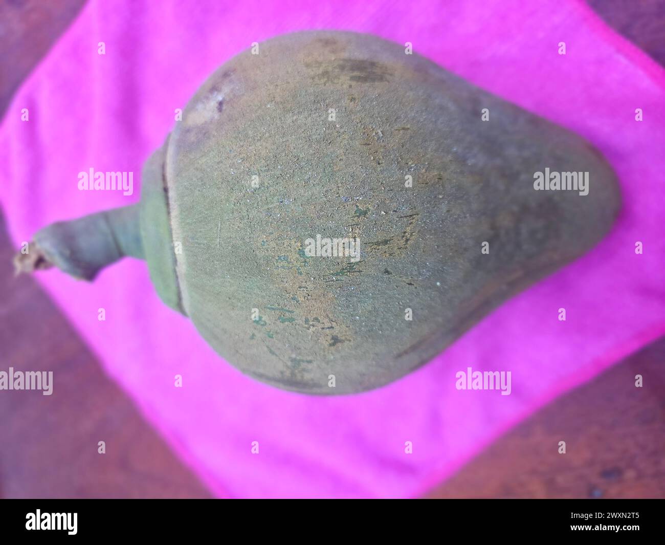 Mamey Sapote (Pouteria sapota) dalla foresta pluviale peruviana Foto Stock