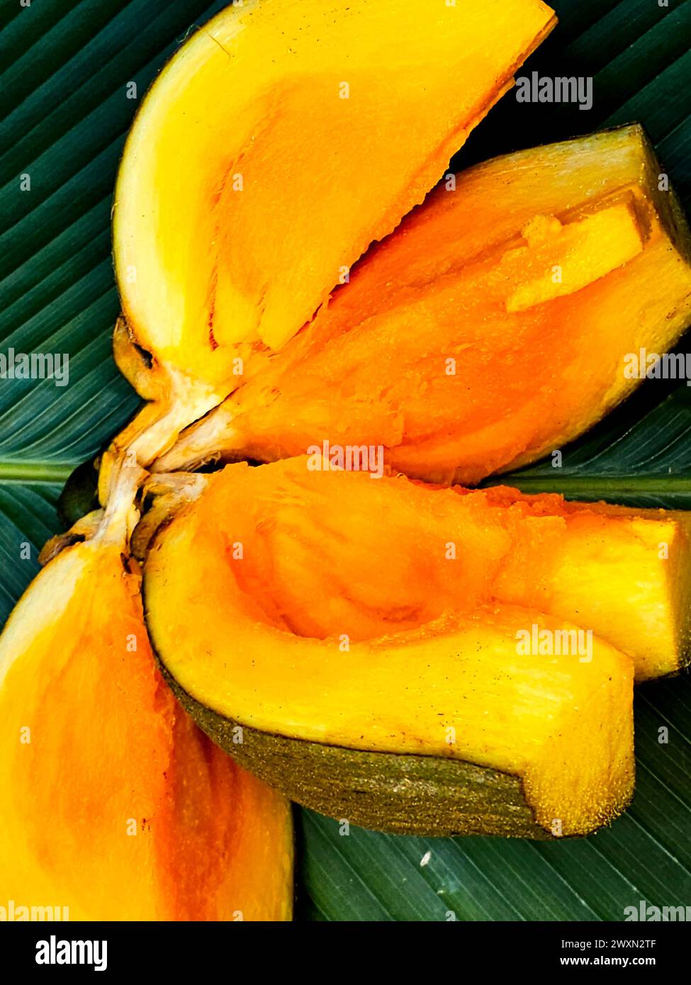 Mamey Sapote (Pouteria sapota) dalla foresta pluviale peruviana Foto Stock