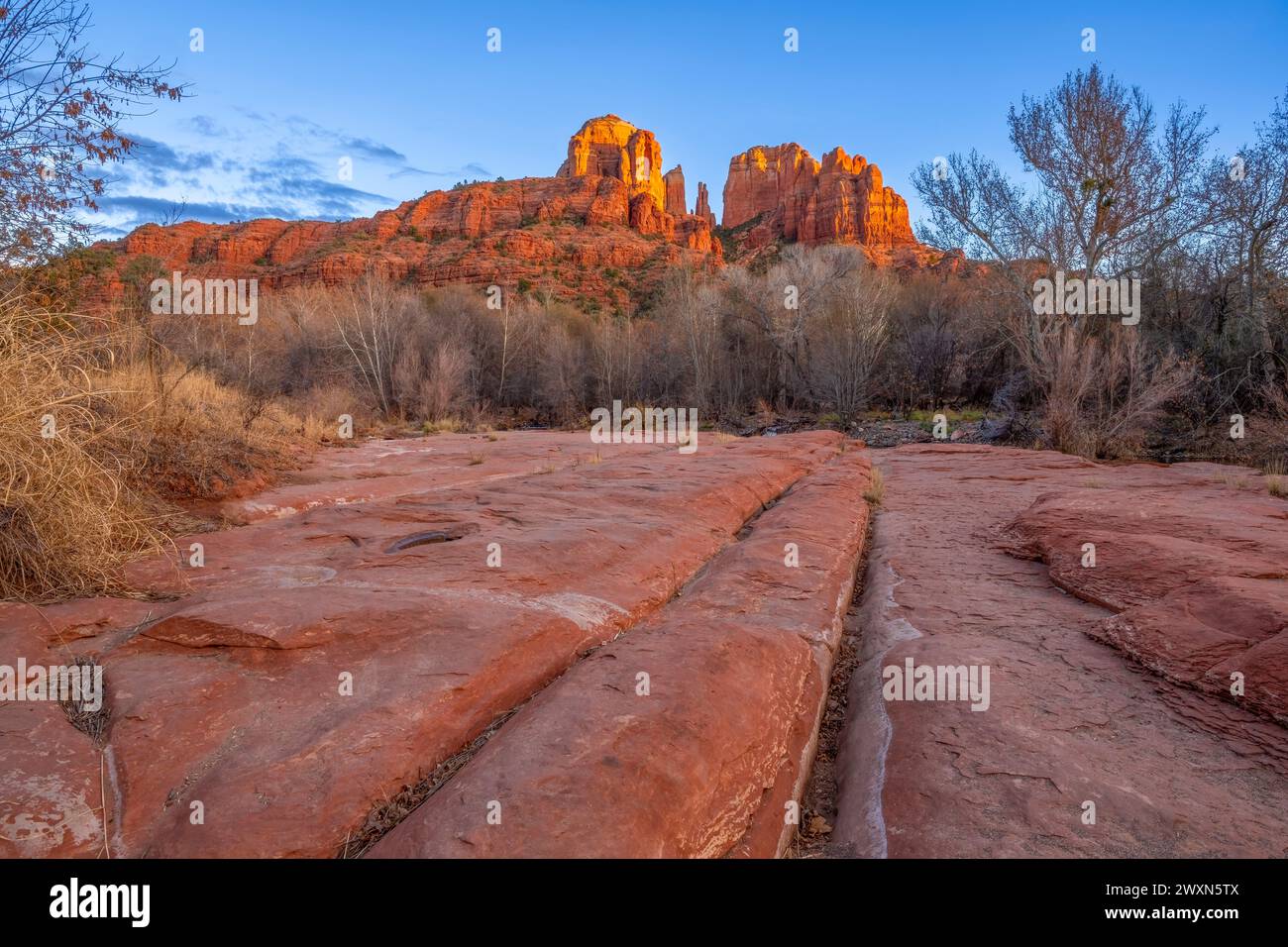 Roccia della cattedrale e flora semi-desertica, tramonto. Sedona, Arizona, USA, di Dominique Braud/Dembinsky Photo Assoc Foto Stock