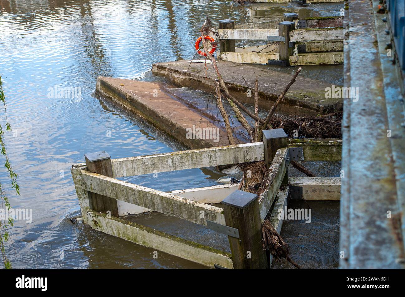 Cookham, Berkshire, Regno Unito. 1 aprile 2024. A seguito di forti piogge e inondazioni sul Tamigi, due enormi pontoni si sono staccati dalla Adventure Learning Foundation Longridge a Marlow nel Buckinghamshire e sono ora incastrati sotto il Cookham Bridge nel Berkshire, dove stanno bloccando parte del canale fluviale sotto il Cookham Bridge. Crediti: Maureen McLean/Alamy Live News Foto Stock