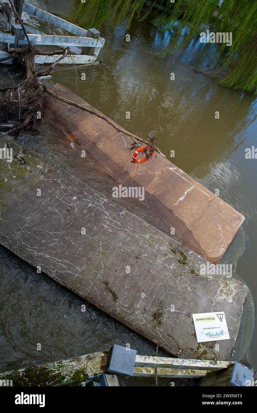 Cookham, Berkshire, Regno Unito. 1 aprile 2024. A seguito di forti piogge e inondazioni sul Tamigi, due enormi pontoni si sono staccati dalla Adventure Learning Foundation Longridge a Marlow nel Buckinghamshire e sono ora incastrati sotto il Cookham Bridge nel Berkshire, dove stanno bloccando parte del canale fluviale sotto il Cookham Bridge. Crediti: Maureen McLean/Alamy Live News Foto Stock