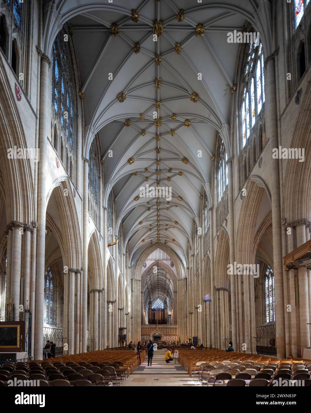Navata, Cattedrale di York, York, Inghilterra Foto Stock