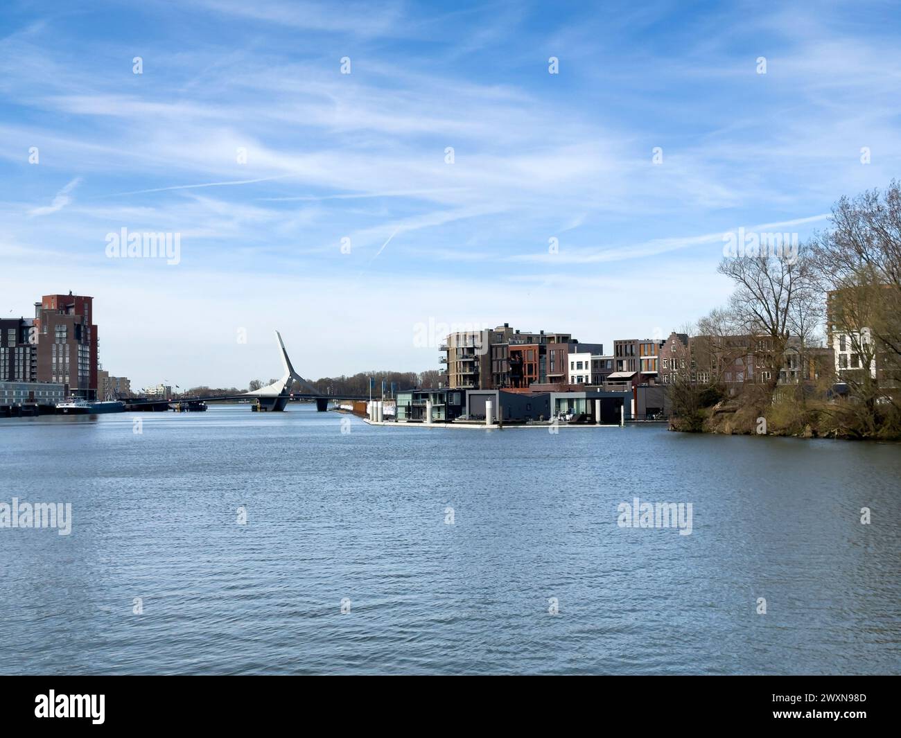 il pittoresco panorama si dispiega sul fiume, catturando il ponte Prins Clausbrug e il fiorente sviluppo abitativo di Stadswerven a Dordrecht, EPI Foto Stock