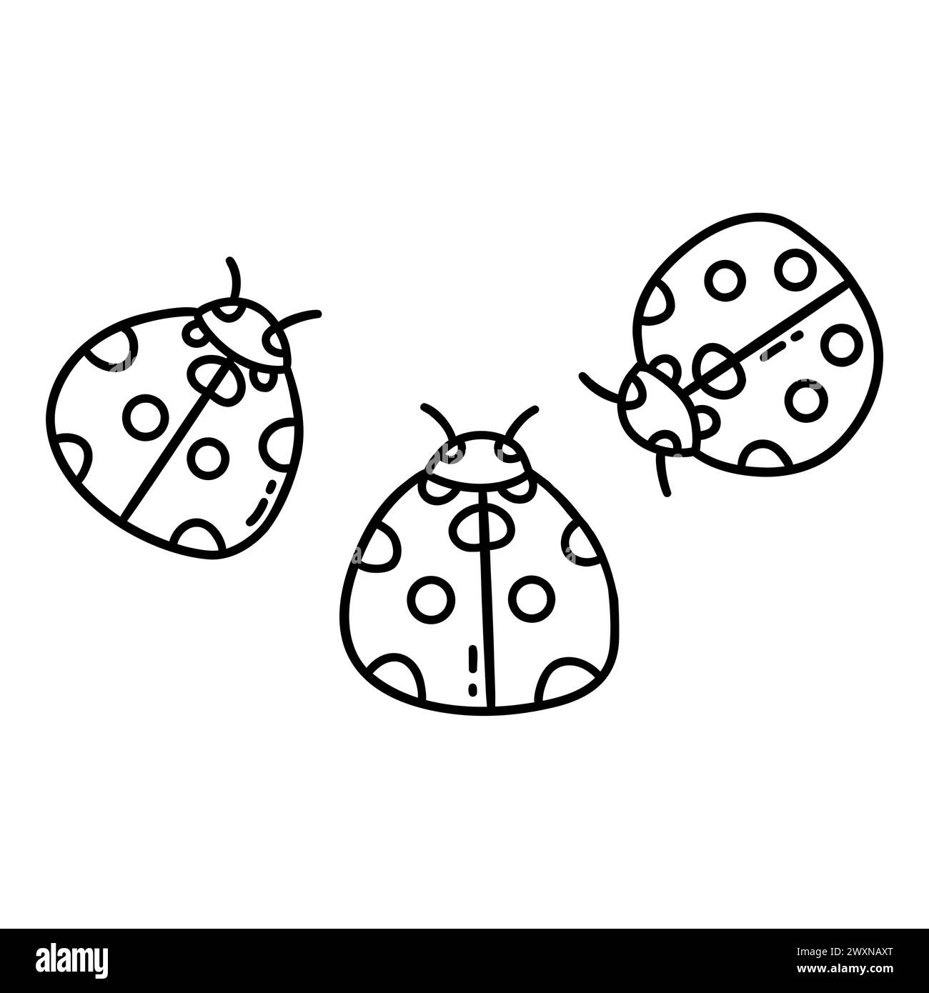 Tre ladybug. Insetti carini con pois. Primavera ed estate. Illustrazione vettoriale isolata in bianco e nero disegnata a mano. Clip da colorare Illustrazione Vettoriale