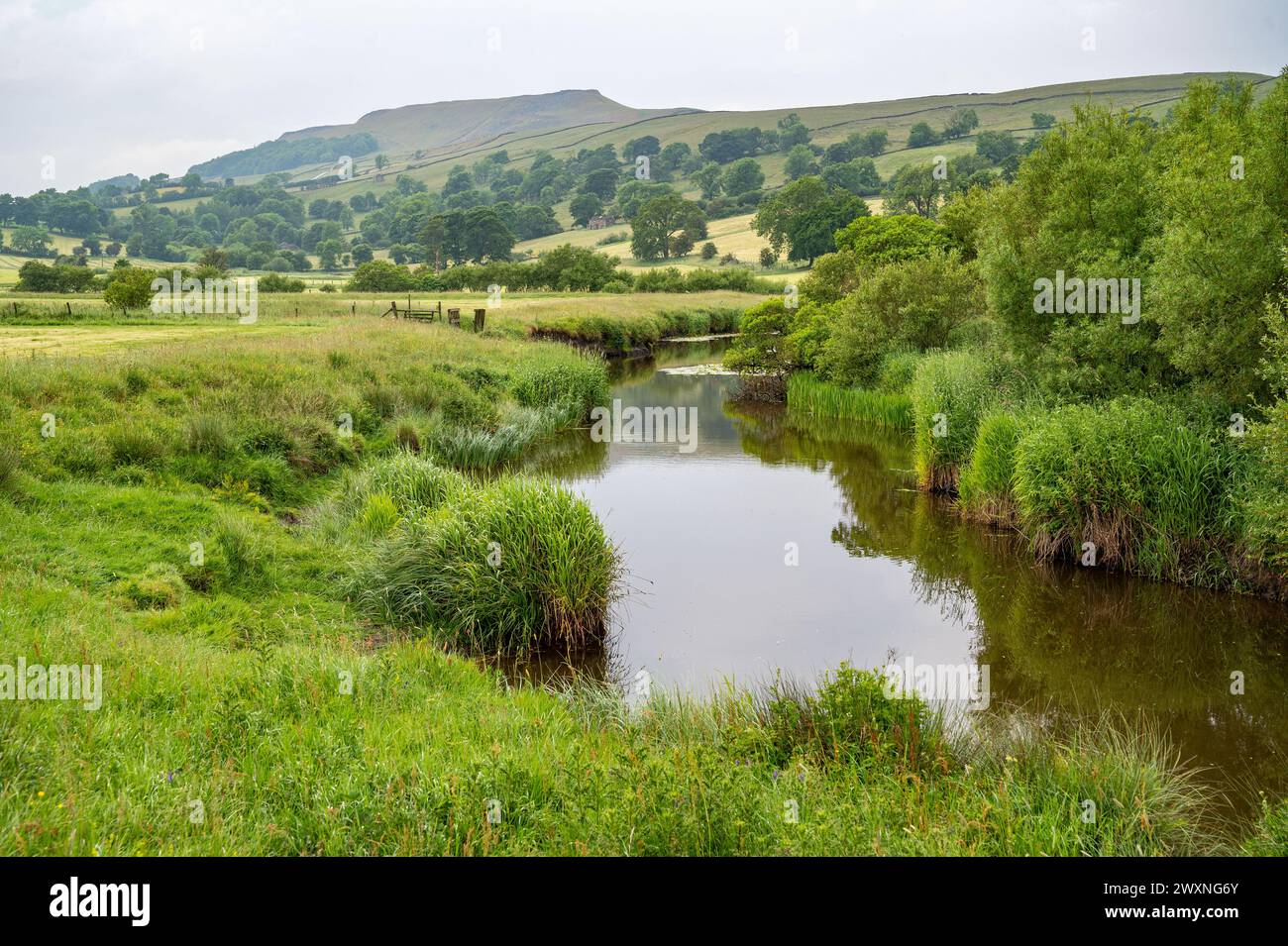 Paesaggio del fiume Bain in un campo verde in una giornata di sole Yorkshire Dales Inghilterra Foto Stock