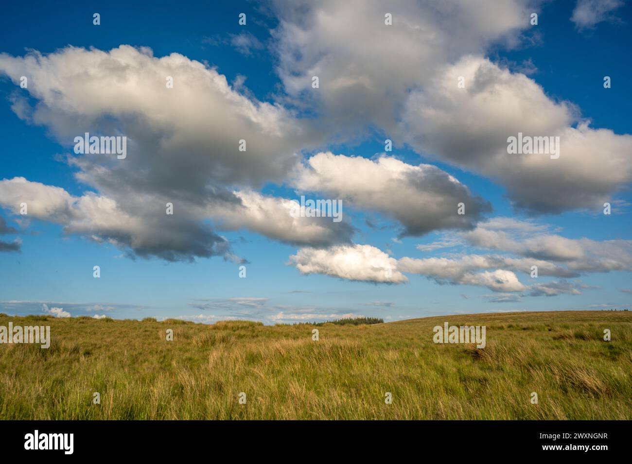 Splendido paesaggio di campagna con una sensazione di aria fresca con un cielo con nuvole nello Yorkshire Dales in Inghilterra Foto Stock