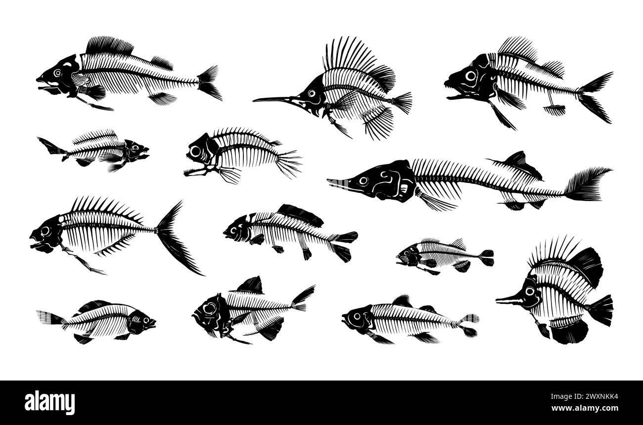 Osso di pesce. Sagoma nera dello scheletro dell'animale d'acqua. Icona della pesca. Carpa predatoria. Pesca con pesce spada di fiume. Cranio e colonna vertebrale. Cattura del persico. Forme di creature acquatiche. Set di simboli piatti di pesce vettoriale Illustrazione Vettoriale