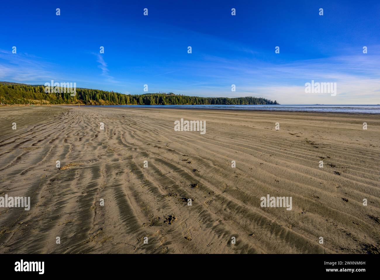 L'incontaminata spiaggia di sabbia alla testa di Pachena Bay sull'Isola di Vancouver, Canada Foto Stock