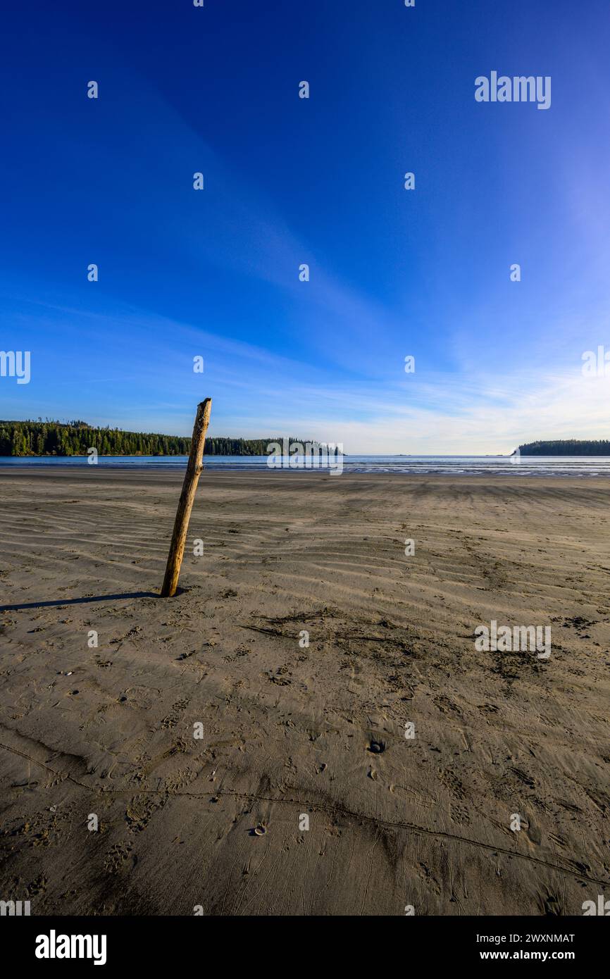 L'isolata spiaggia di sabbia alla testa di Pachena Bay sull'Isola di Vancouver Foto Stock