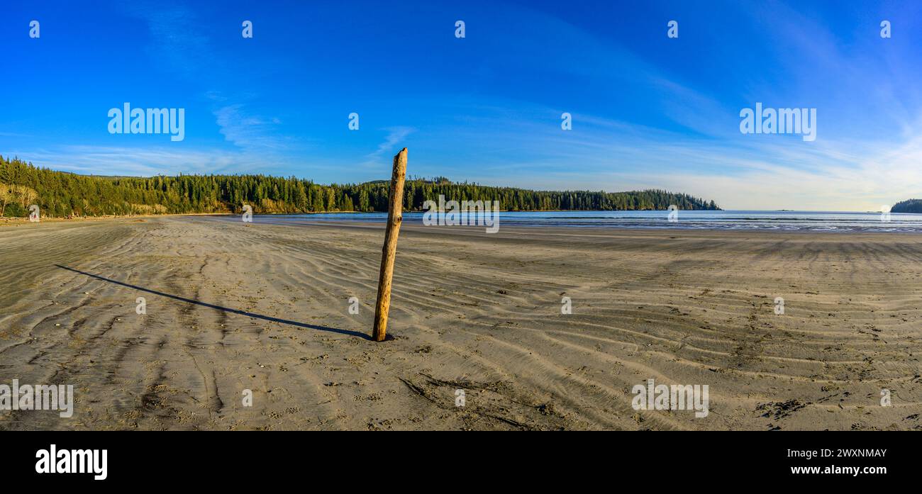 Vista panoramica della spiaggia sabbiosa di Pachena Bay sulla costa occidentale dell'isola di Vancouver Foto Stock