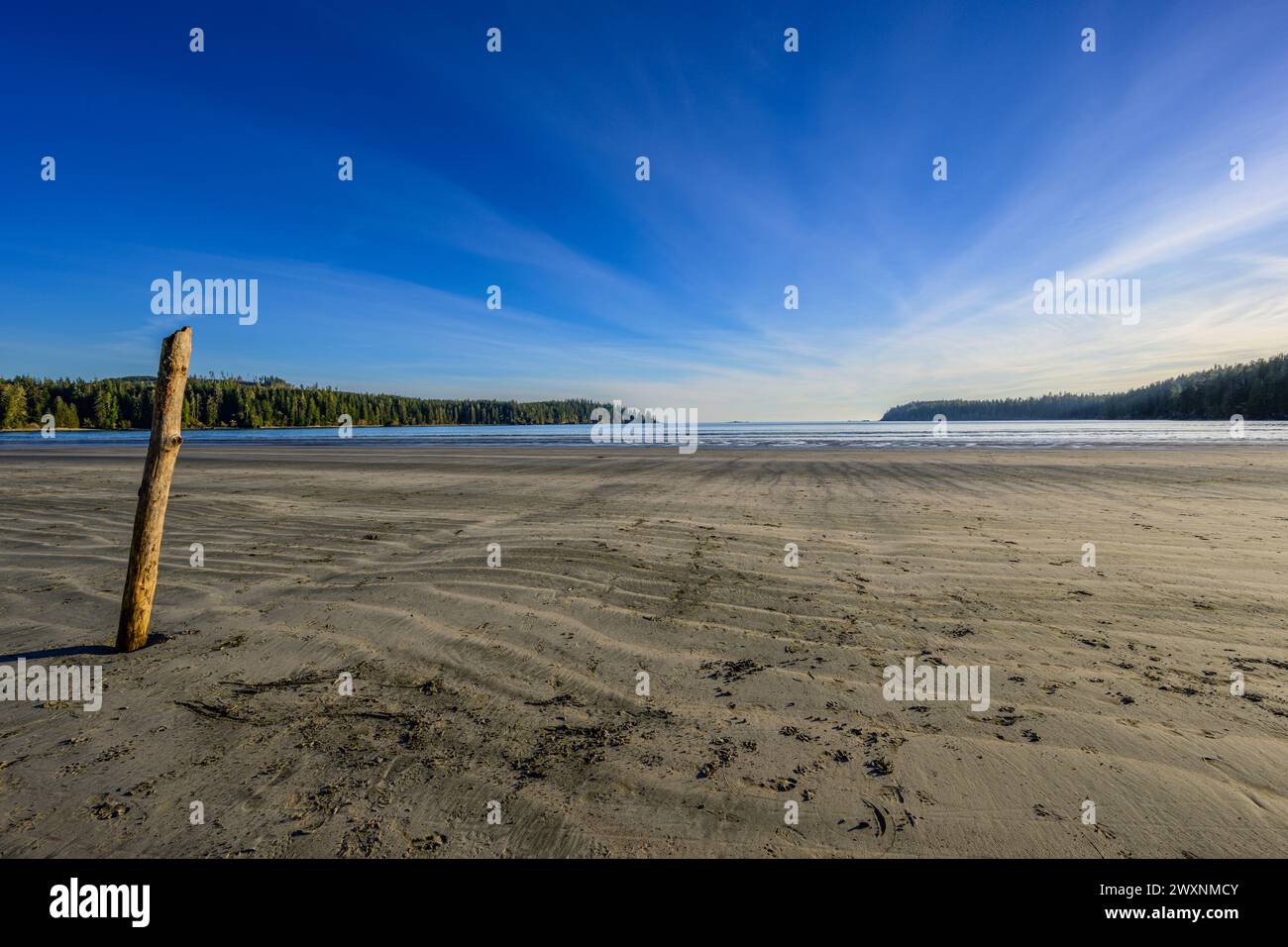 L'ampia spiaggia sabbiosa alla testa della Baia di Pachena sull'Isola di Vancouver Foto Stock
