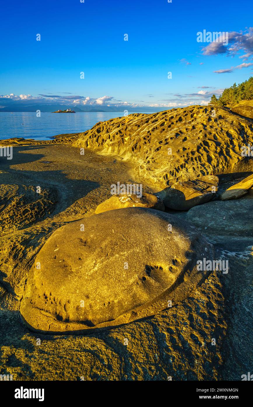 Formazioni rocciose di arenaria intemperie conosciute come tafoni lungo la costa nord-est dell'isola di Gabriola Foto Stock