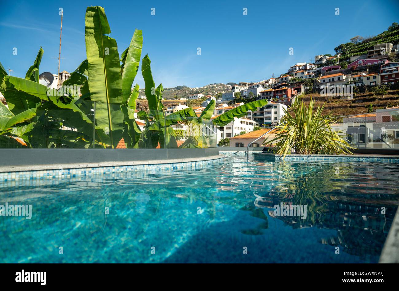 Vista di una tranquilla piscina blu circondata da lussureggianti alberi verdi: L'isola di Madeira Foto Stock