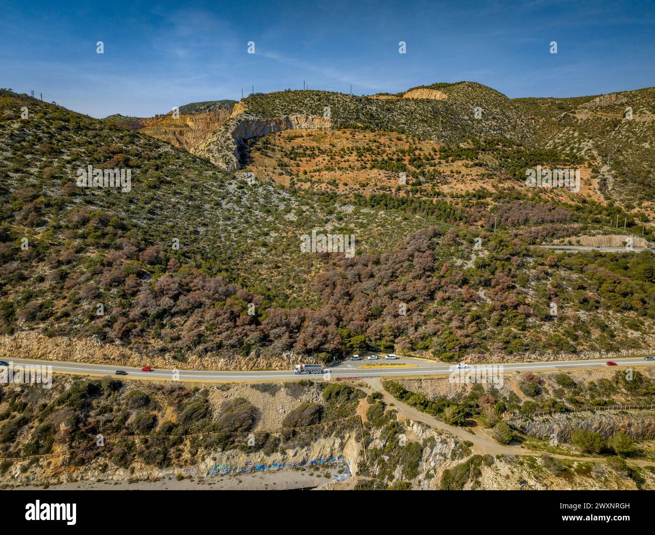 Siccità molto grave e morte della pineta di pietra (Pinus pinea) nel massiccio del Garraf, vicino al mare e Costes del Garraf (Barcellona, Spagna) Foto Stock