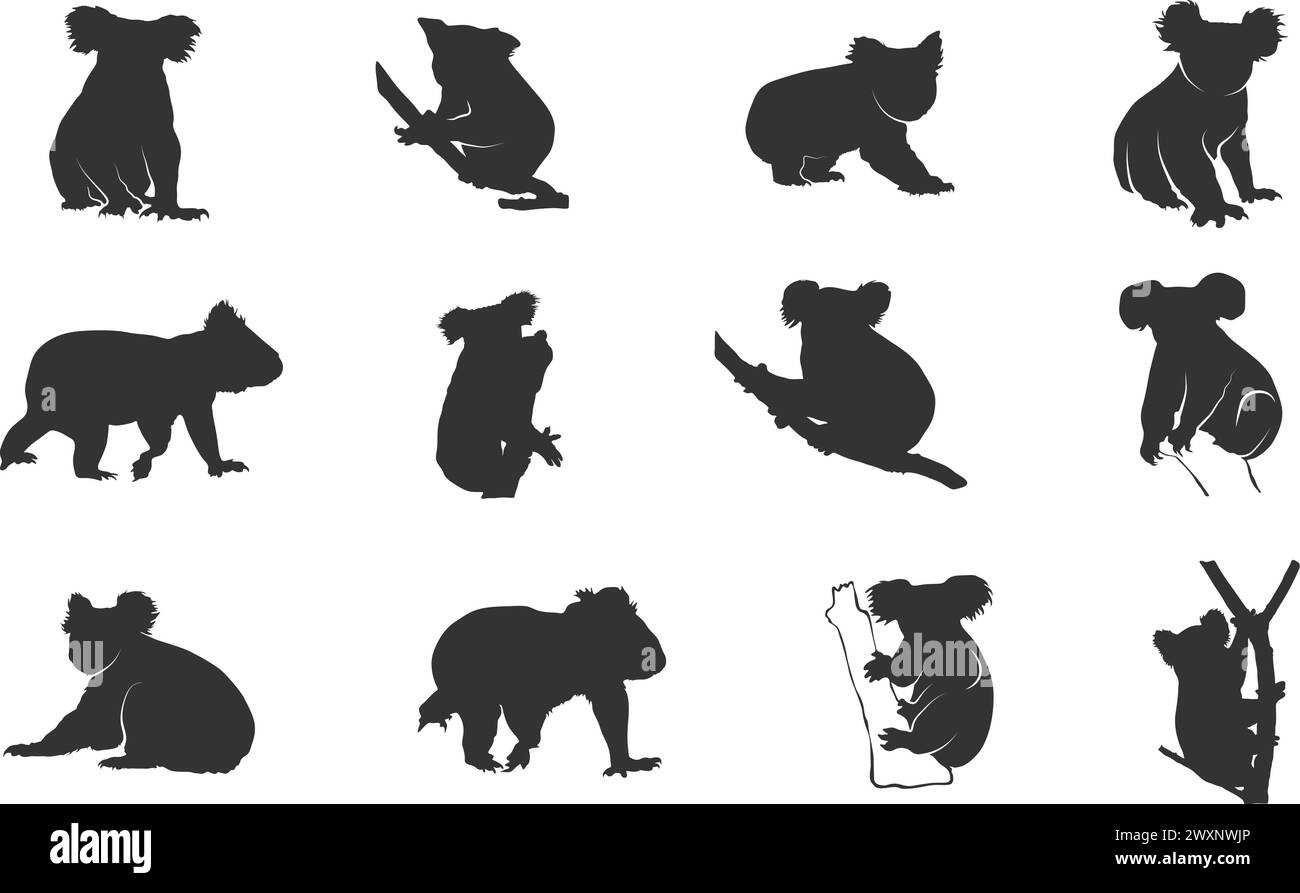 Silhouette Koala, silhouette con orso Koala, silhouette Koala, illustrazione vettoriale dell'orso Koala Illustrazione Vettoriale