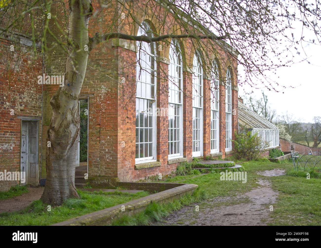 L'orangerie nella casa di campagna e tenuta di Calke Abbey nel Derbyshire, Inghilterra Foto Stock