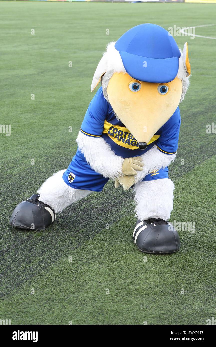 Haydon the Womble mascotte AFC Wimbledon Women contro Norwich City Women FC FAWNL 31 marzo 2024 al Carshalton Athletic FC, Londra Foto Stock