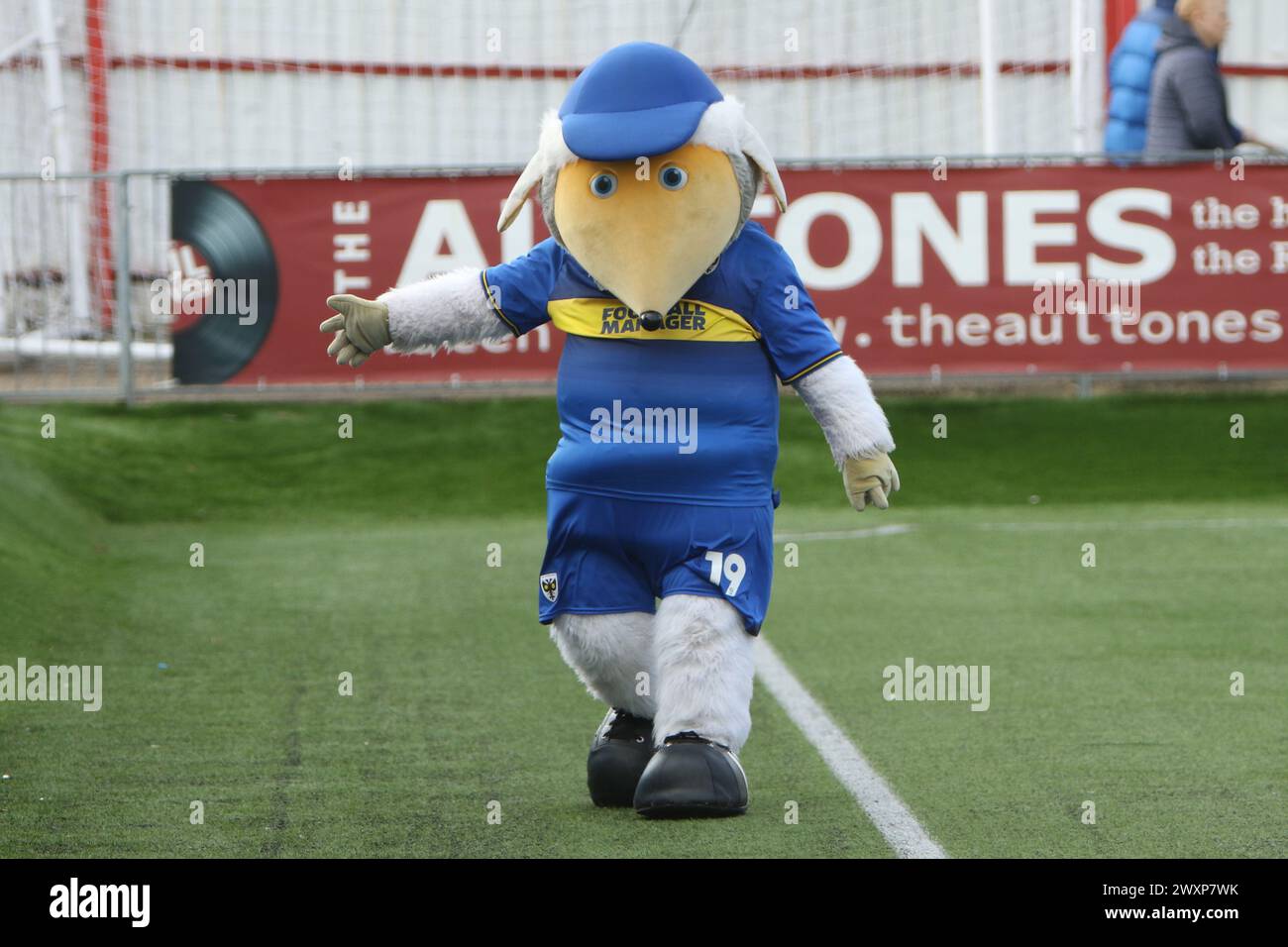 Haydon the Womble mascotte AFC Wimbledon Women contro Norwich City Women FC FAWNL 31 marzo 2024 al Carshalton Athletic FC, Londra Foto Stock