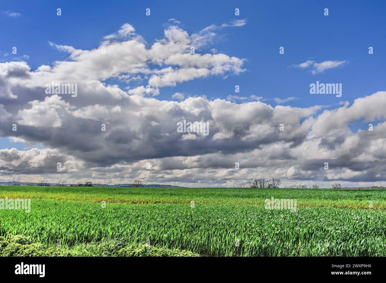 Nuvole di pioggia Nimbostratus e nuvole di Cumulus a bassa quota - Francia centrale. Foto Stock