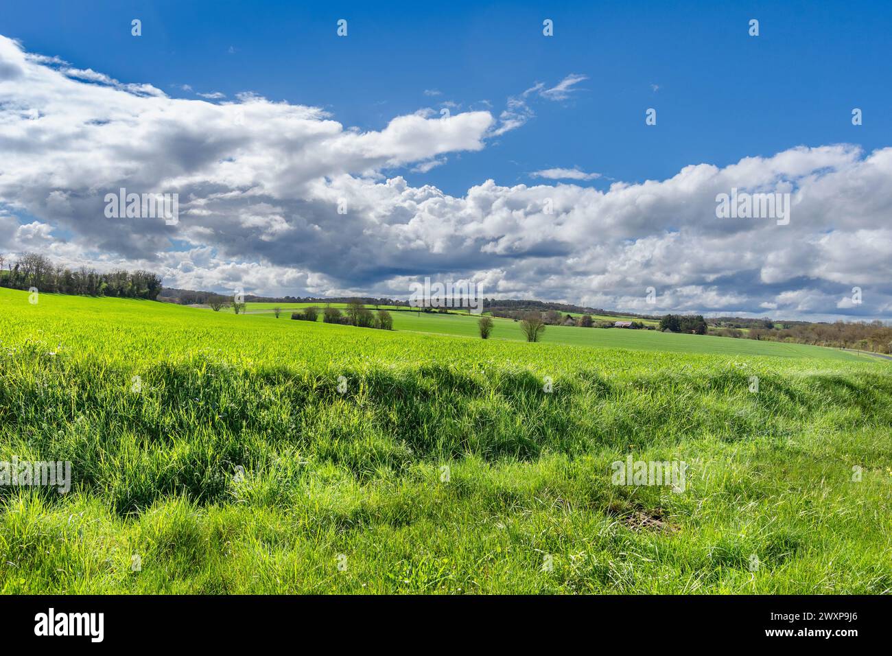 Nuvole di pioggia Nimbostratus e nuvole di Cumulus a bassa quota - Francia centrale. Foto Stock