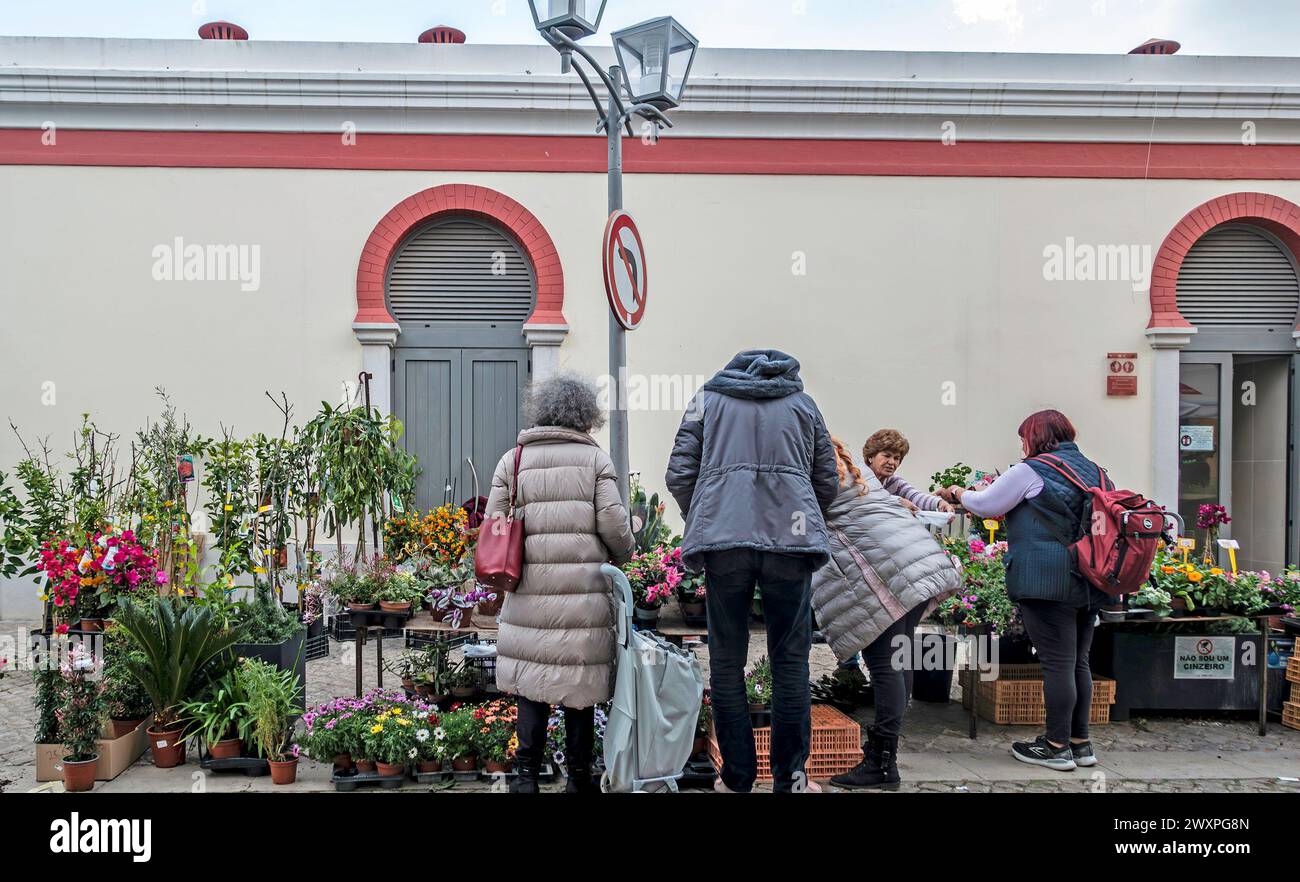 Le persone stanno esplorando un vivace mercato di fiori di strada all'aperto con una varietà di piante e fiori in mostra, a Loule, in Portogallo. Foto Stock