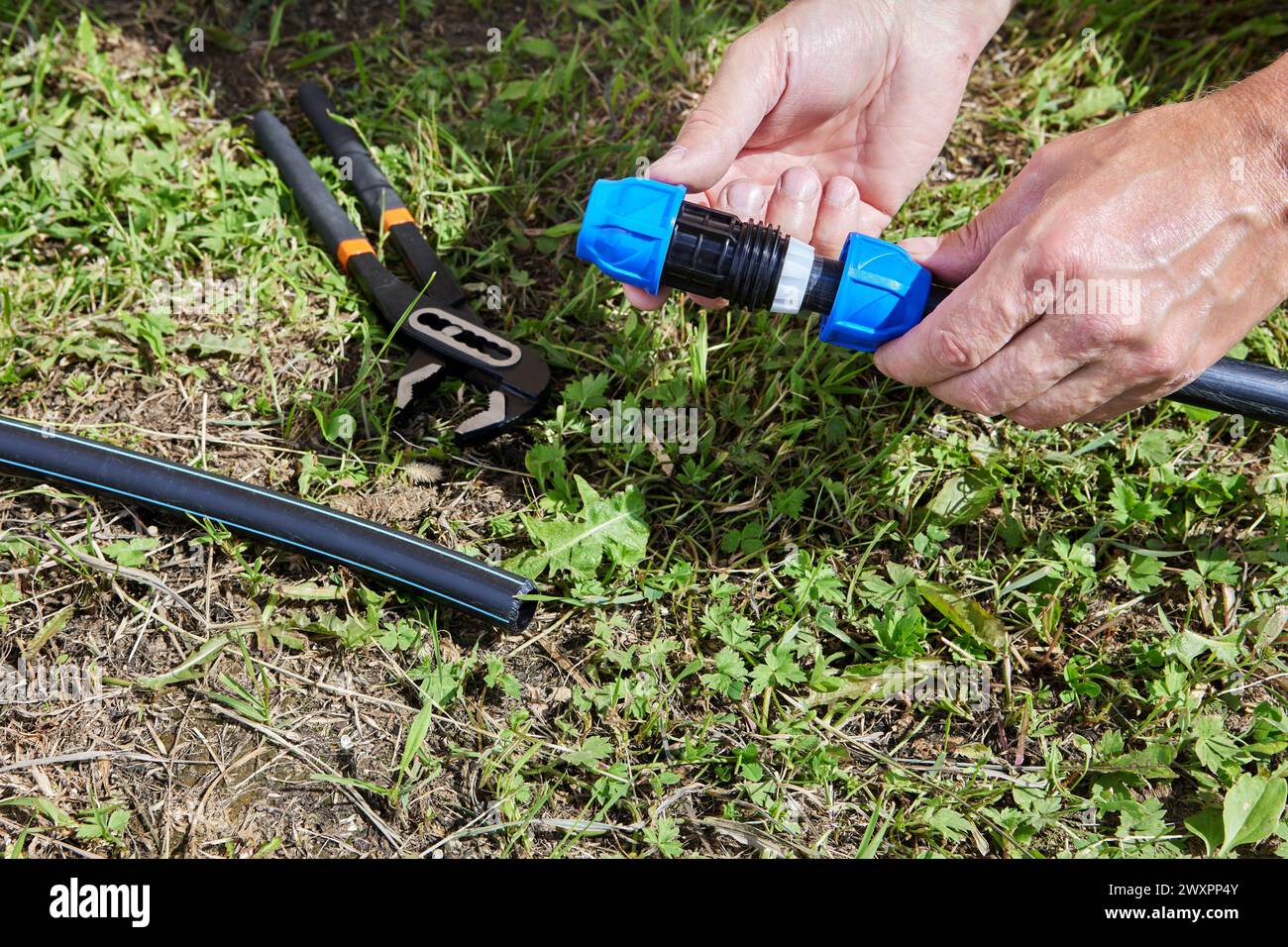 Assemblaggio dell'alimentazione dell'acqua di irrigazione, l'idraulico collega i tubi con il raccordo di accoppiamento a compressione. Foto Stock