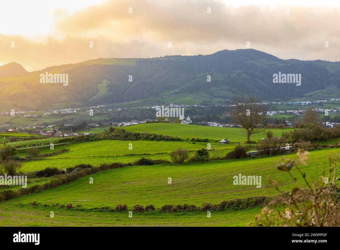 Splendido paesaggio rurale, con campi verdi al crepuscolo in una giornata nuvolosa. Povoação, Ilha de Sao Miguel, Azzorre Foto Stock