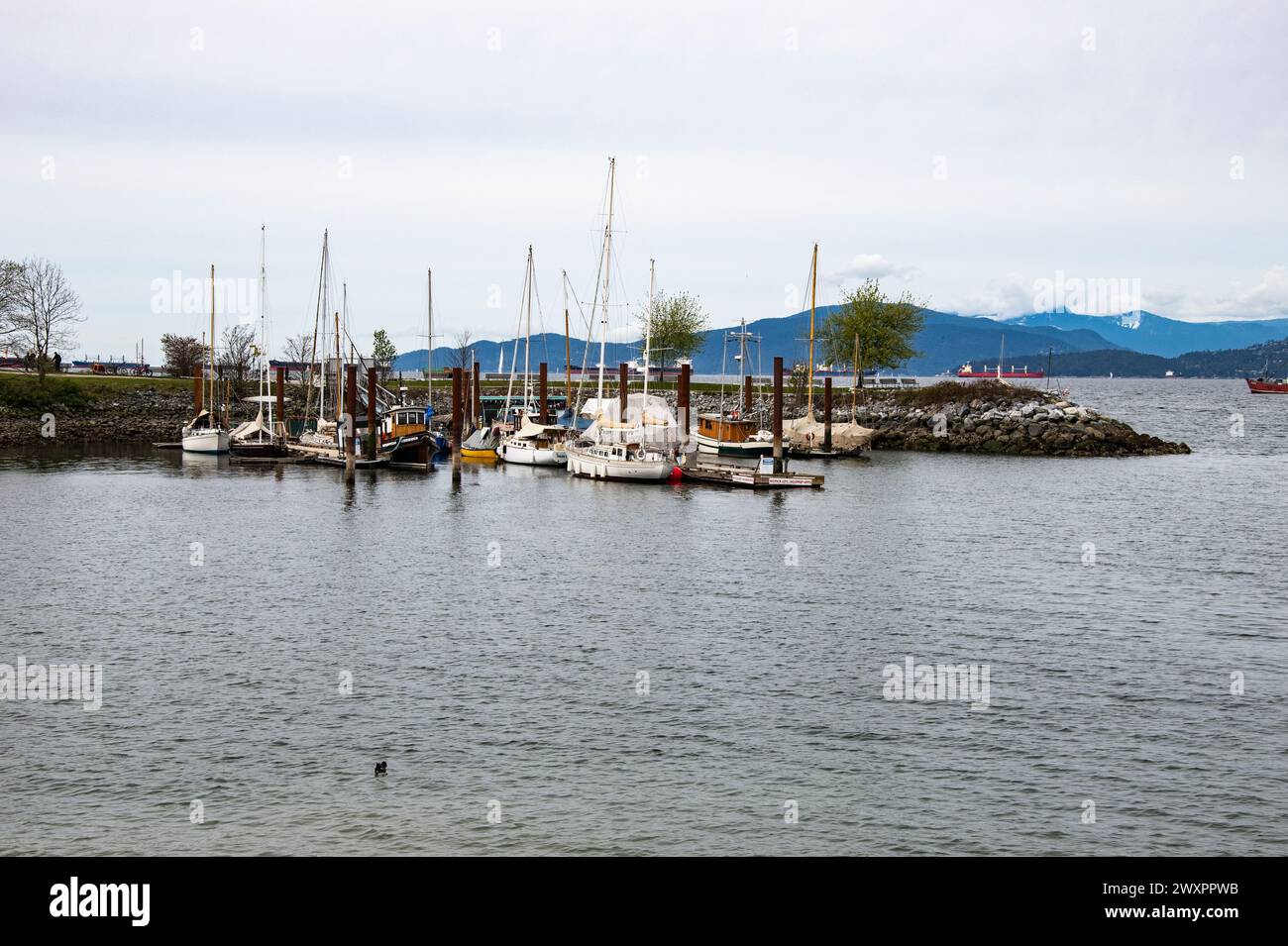 Barche attraccate a Hadden Park Beach a Vancouver, British Columbia, Canada Foto Stock