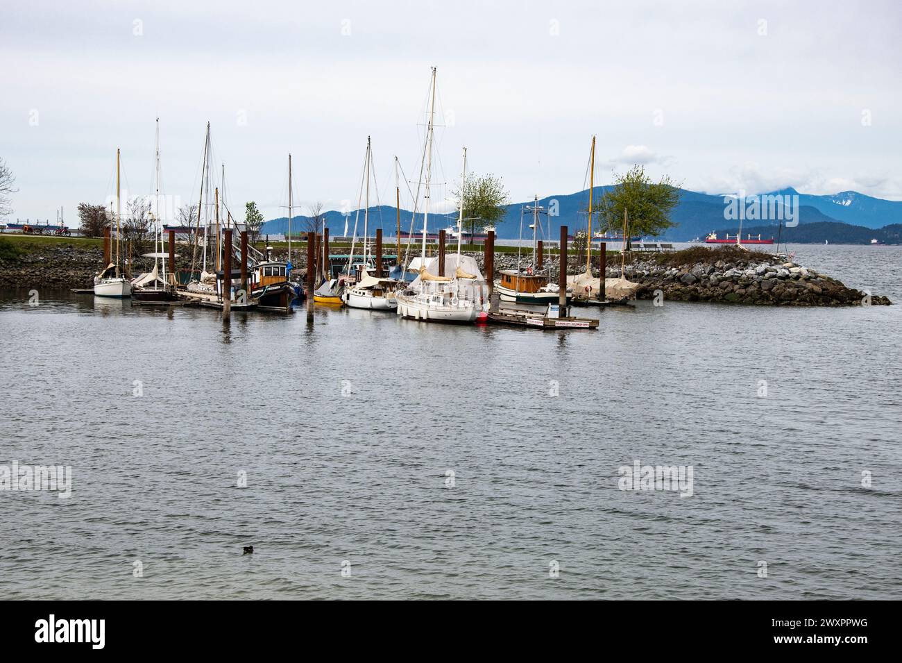 Barche attraccate a Hadden Park Beach a Vancouver, British Columbia, Canada Foto Stock