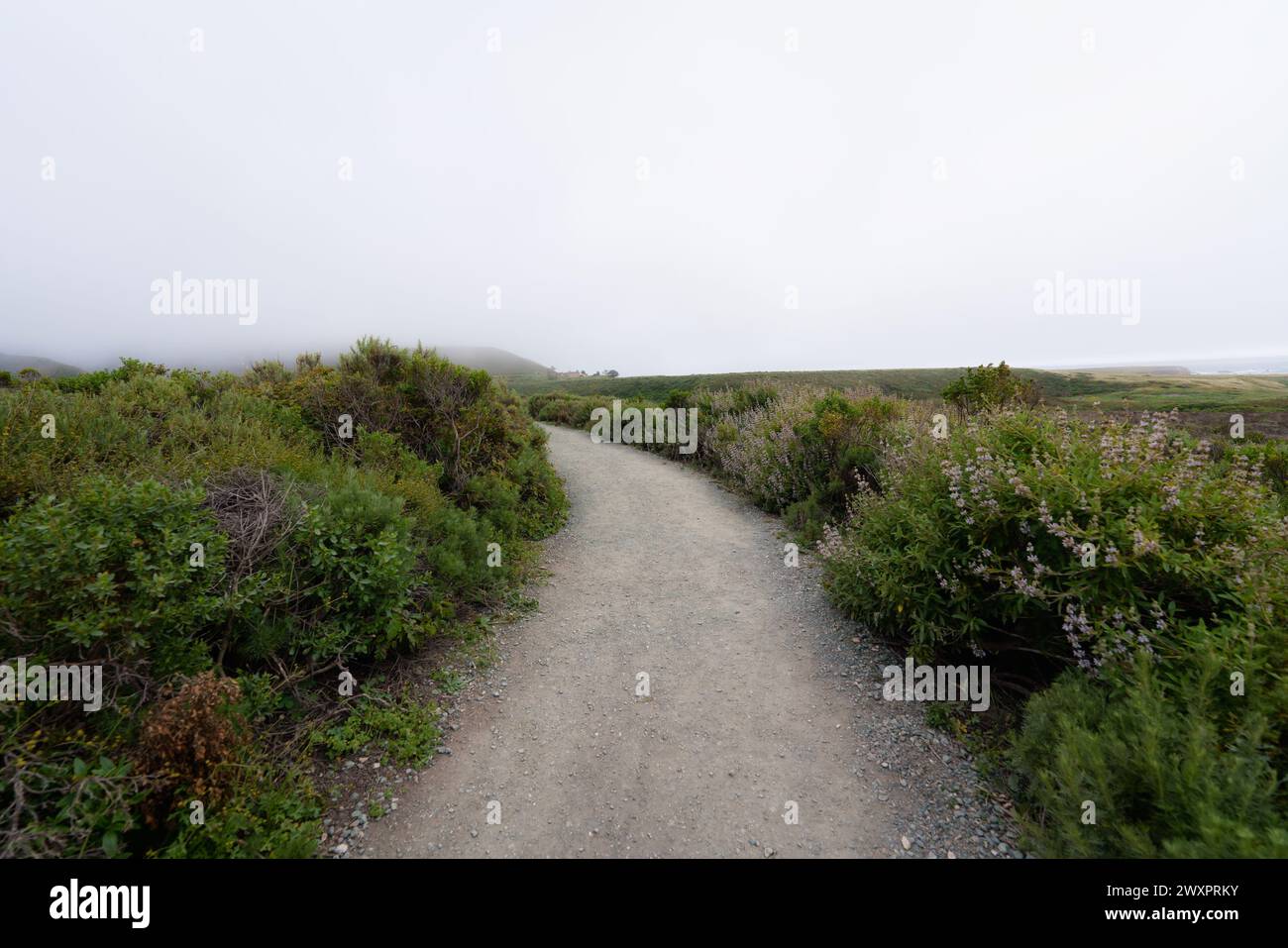 Sentiero escursionistico lungo la riva. Sentiero Montana de Oro Bluff, California centrale Foto Stock