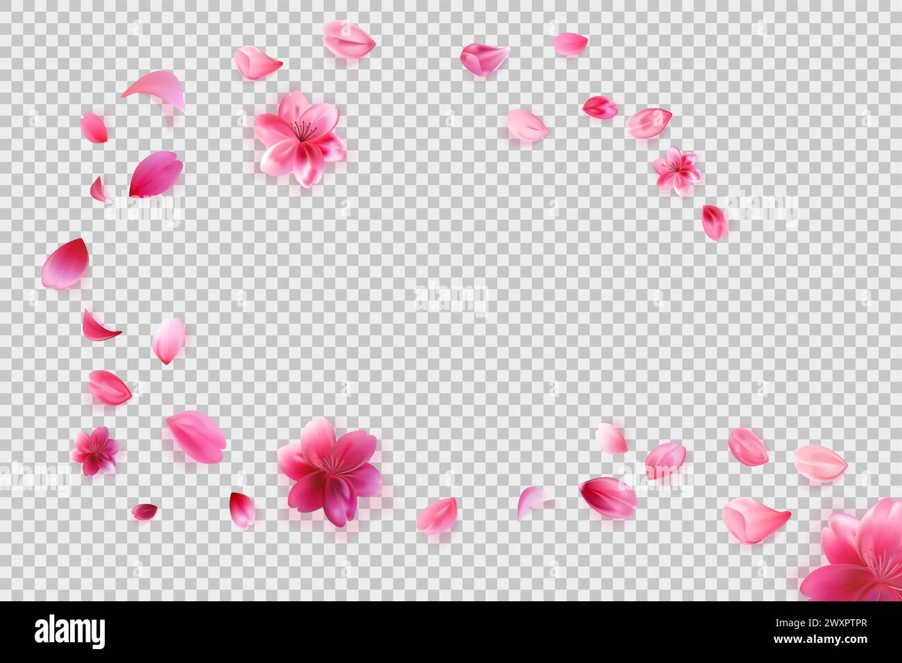 Petali sakura cadenti png isolati su sfondo trasparente. Illustrazione Vettoriale