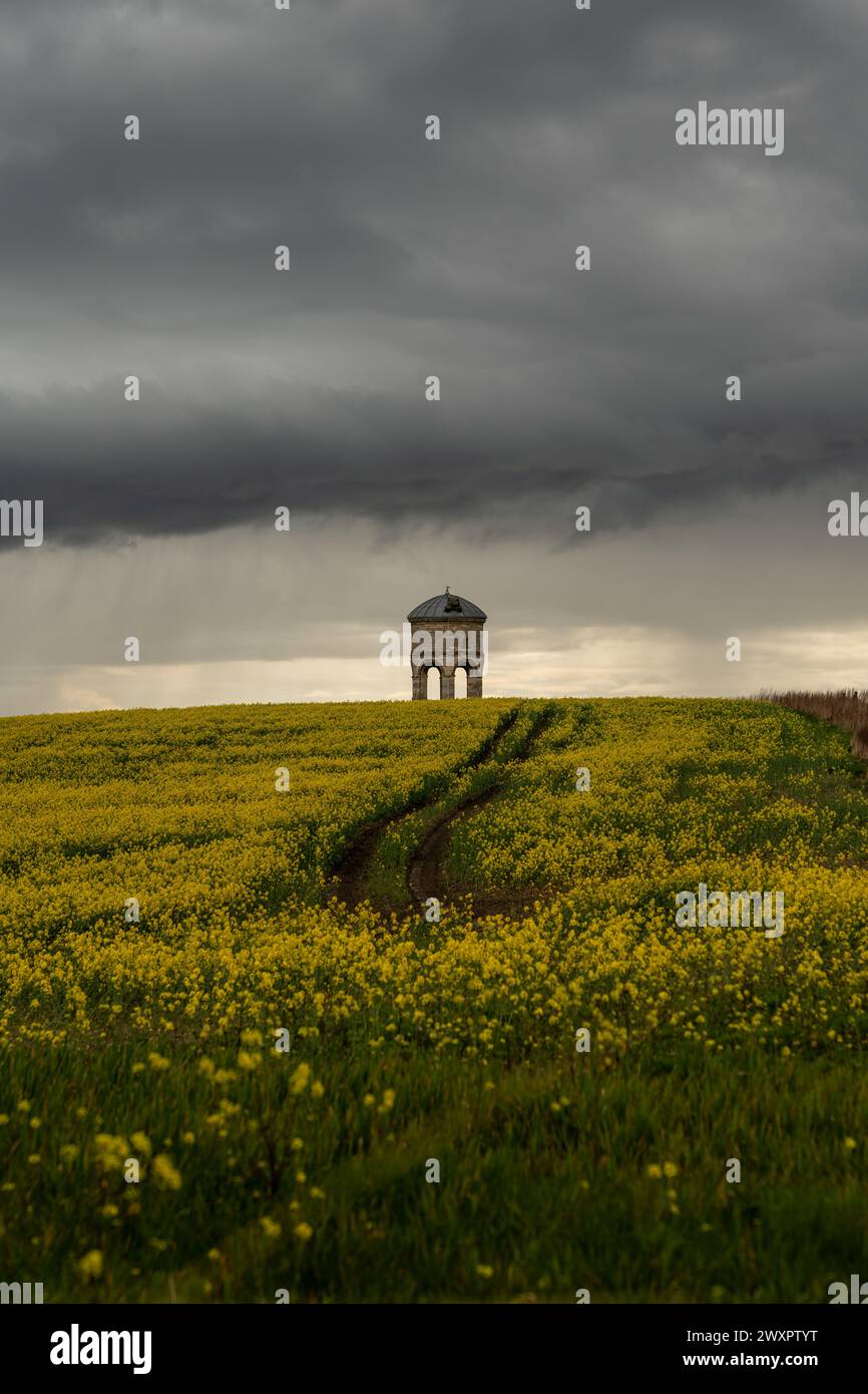 Il gazebo solitario si trova su un vibrante campo di colza giallo sotto le imminenti nuvole di tempesta Foto Stock