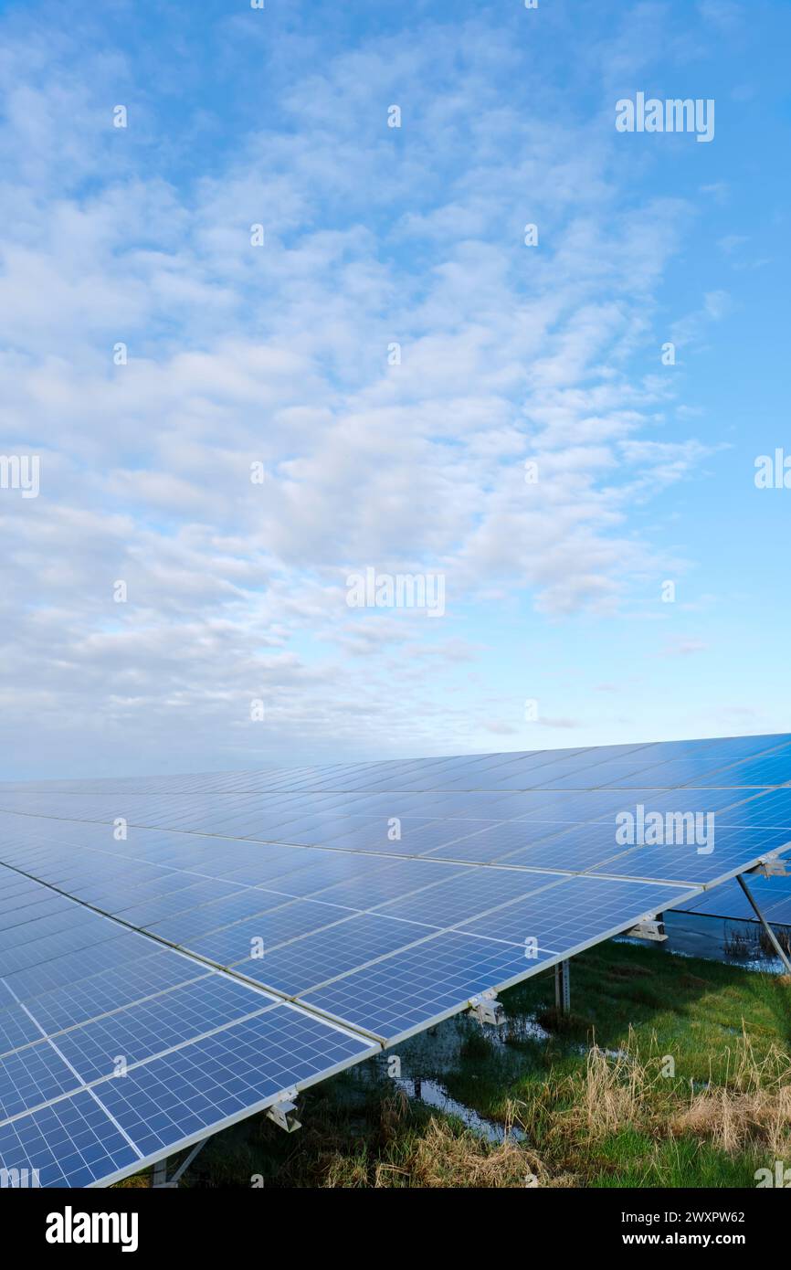 Celle solari blu in una centrale elettrica a pannelli solari o in un parco di celle fotovoltaiche che riflettono il cielo nuvoloso blu. Concetto di energia verde con spazio di copia. Foto Stock