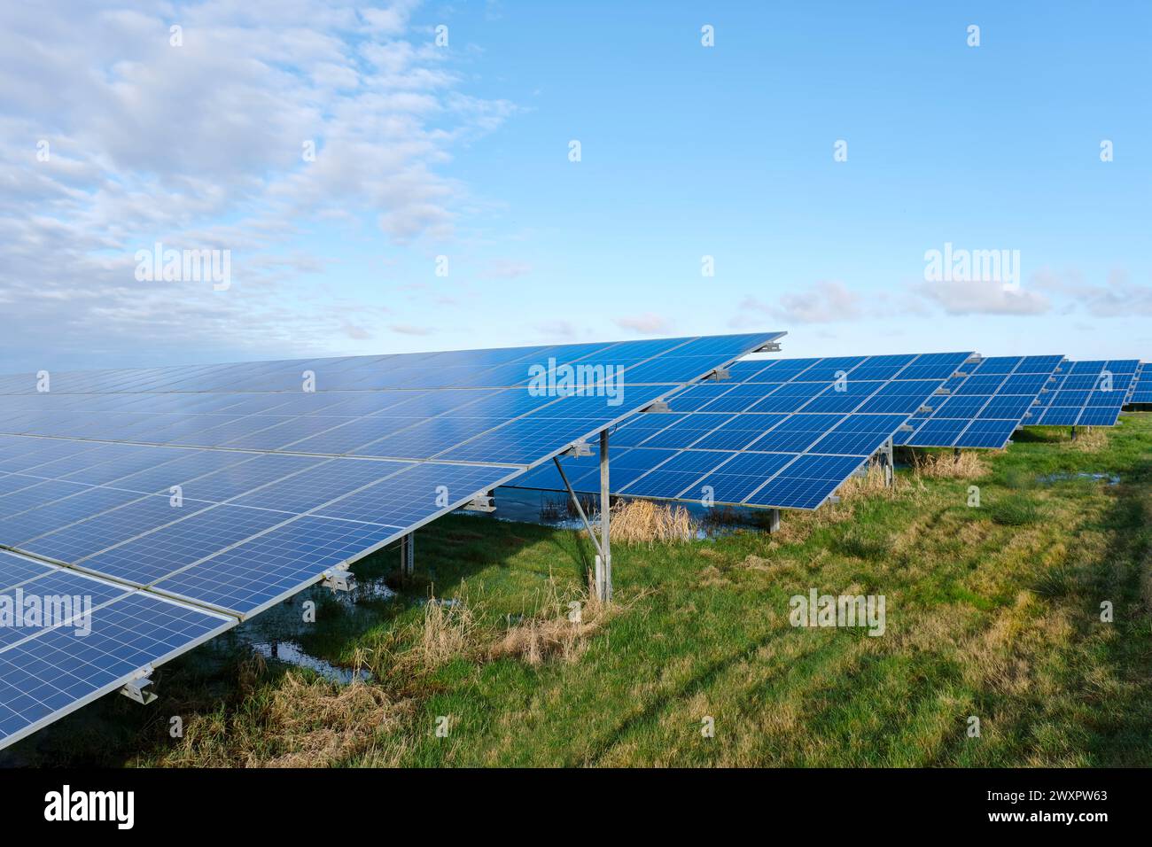 Celle solari blu in una centrale elettrica a pannelli solari o in un parco di celle fotovoltaiche che riflettono il cielo nuvoloso blu. Concetto di energia verde con spazio di copia. Foto Stock