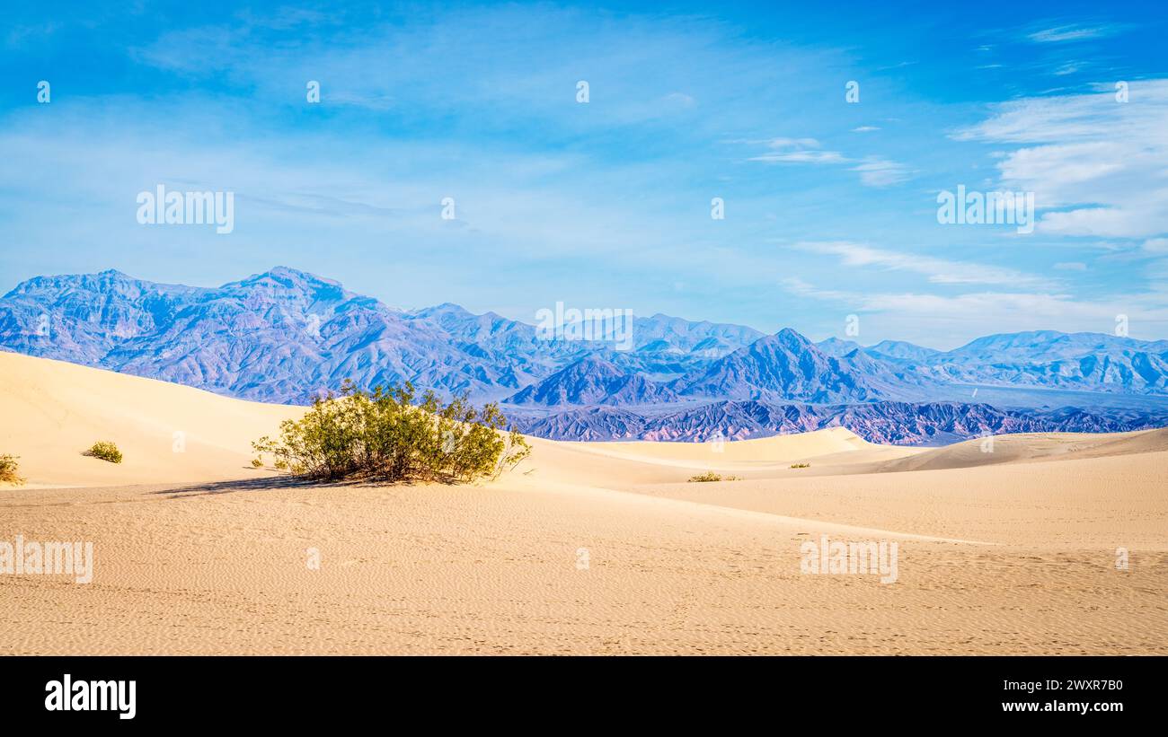 Vista panoramica delle dune di sabbia di Mesquite Flat e delle montagne dietro al Death Valley National Park in California Foto Stock