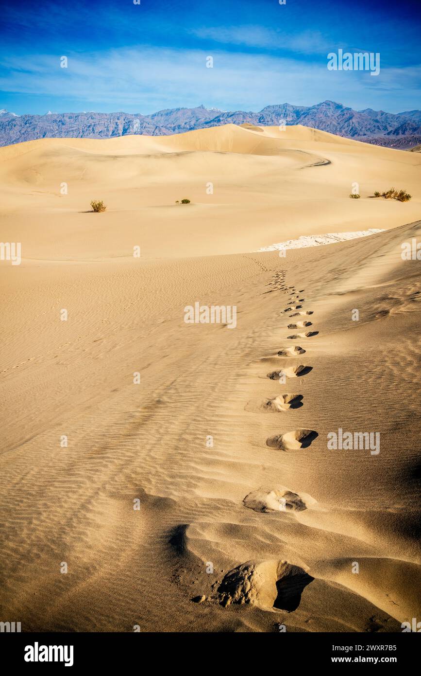 Vista panoramica delle dune di sabbia di Mesquite Flat nel Death Valley National Park in California Foto Stock